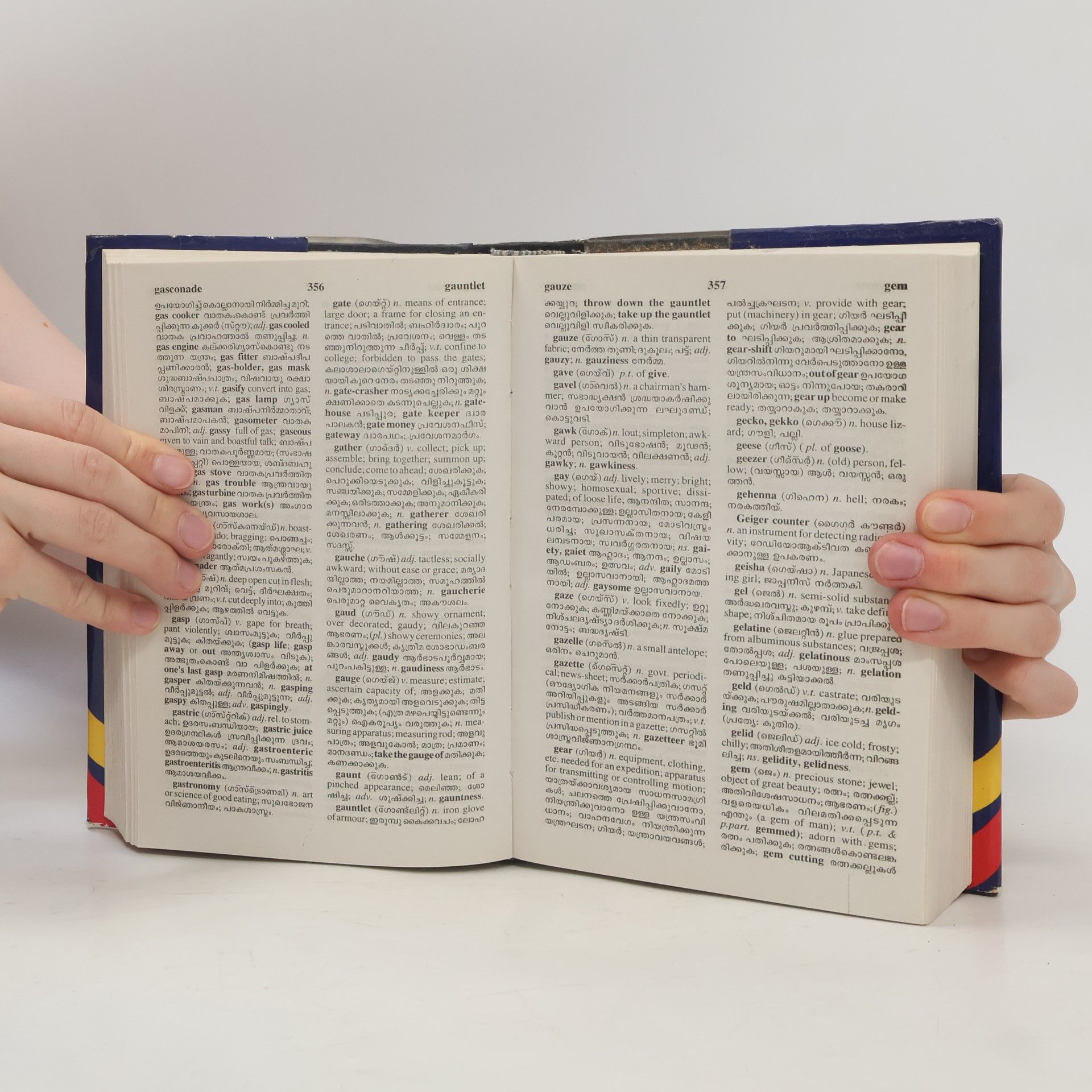 T. Ramalingam Pillai English-English Malayalam Dictionary