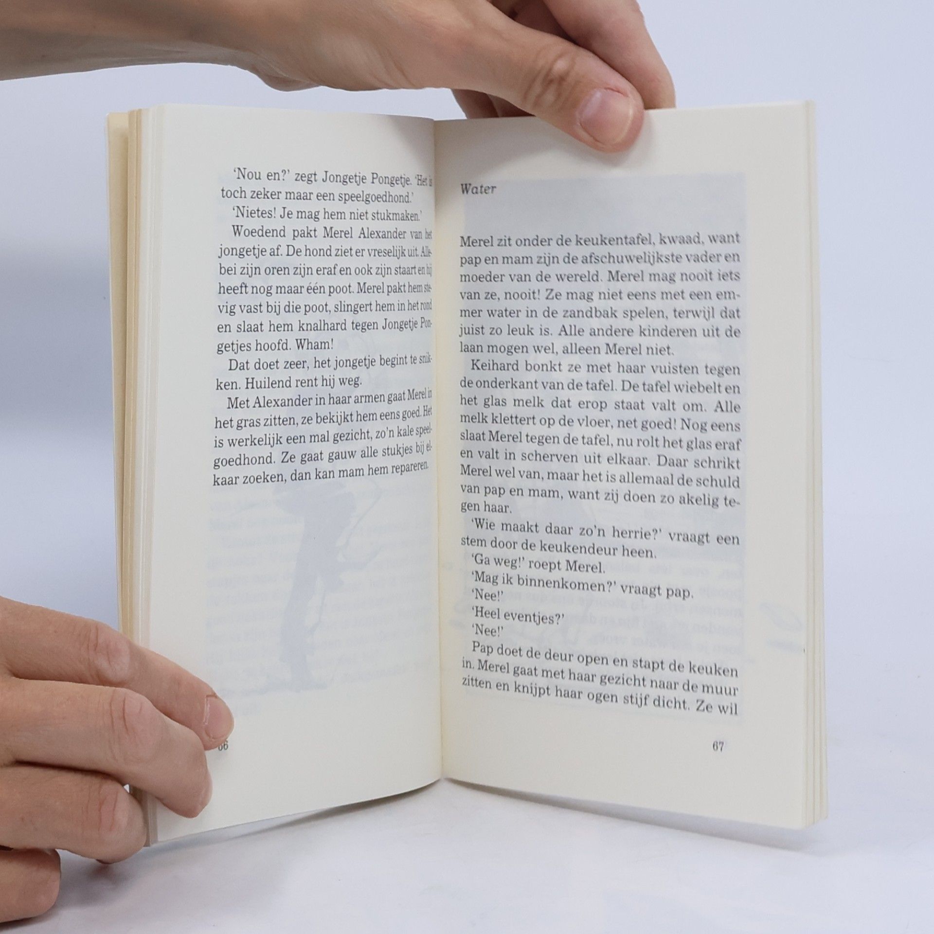 Rindert Kromhout Jeugdsalamander - 1: Het kleine boek van Merel