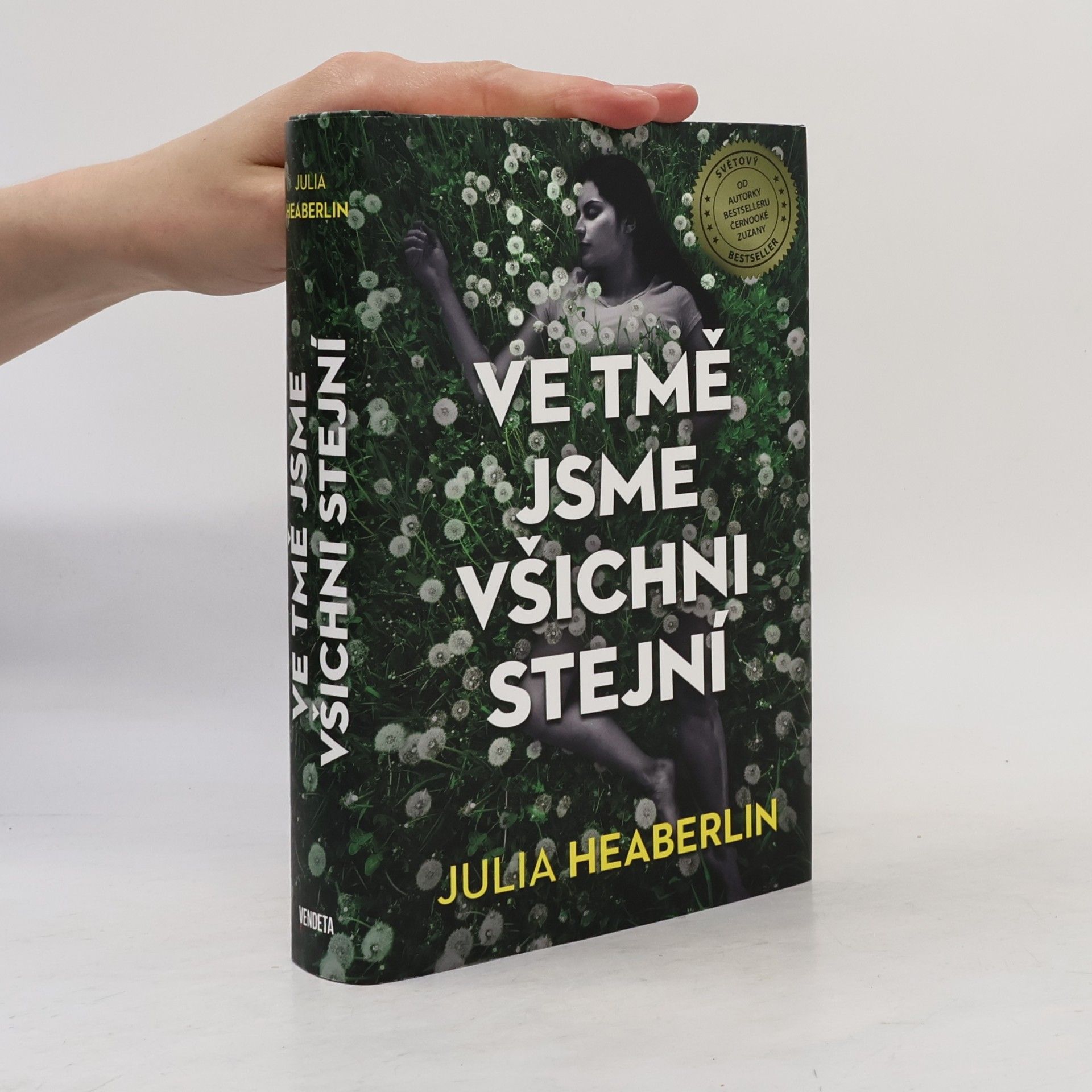 Julia Heaberlin Ve tmě jsme všichni stejní