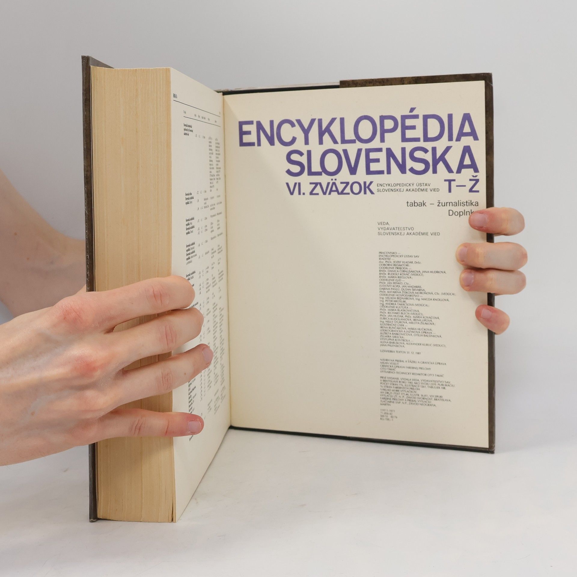 Auteurscollectief Encyklopédia Slovenska VI. T-Ž