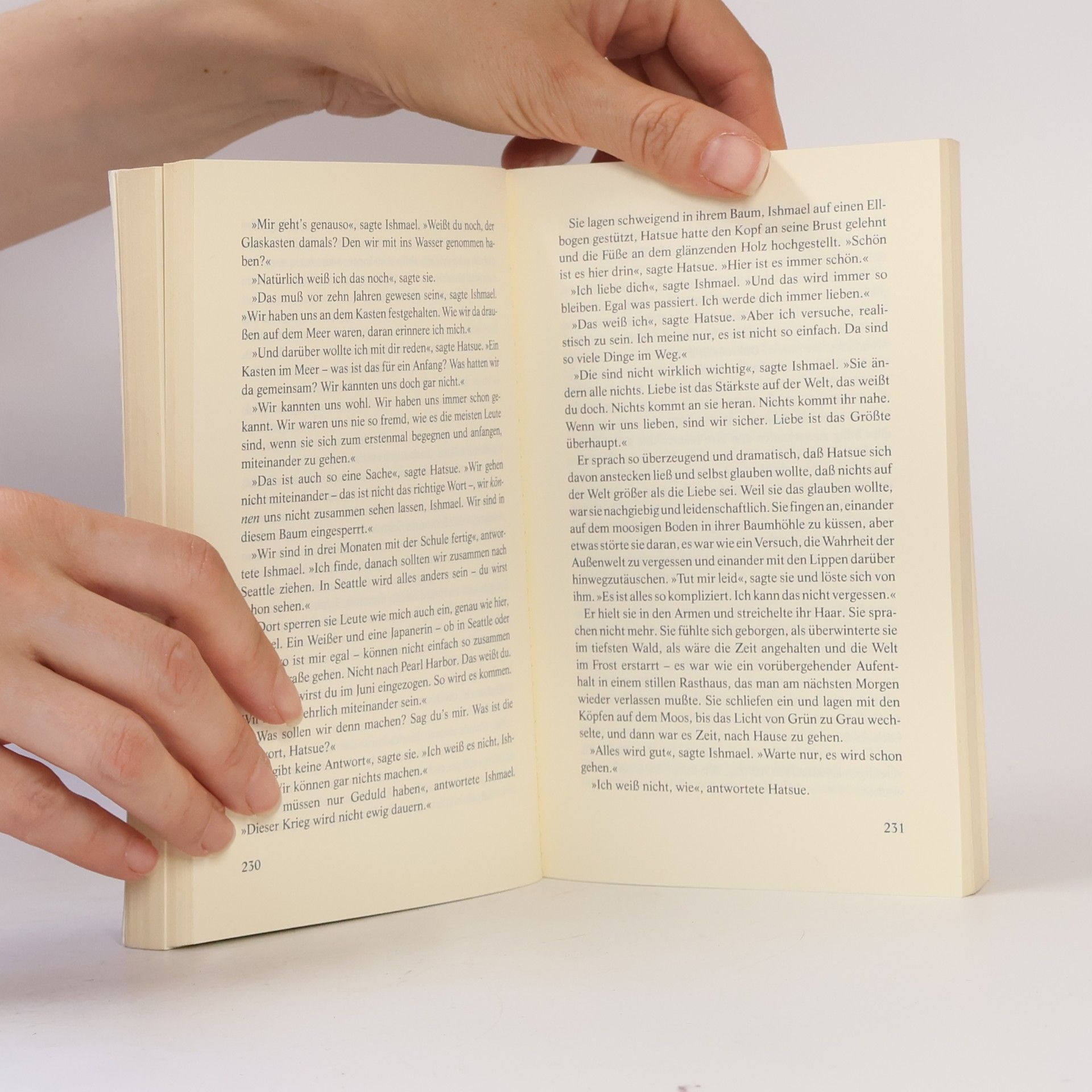 David Guterson Schnee, der auf Zedern fällt