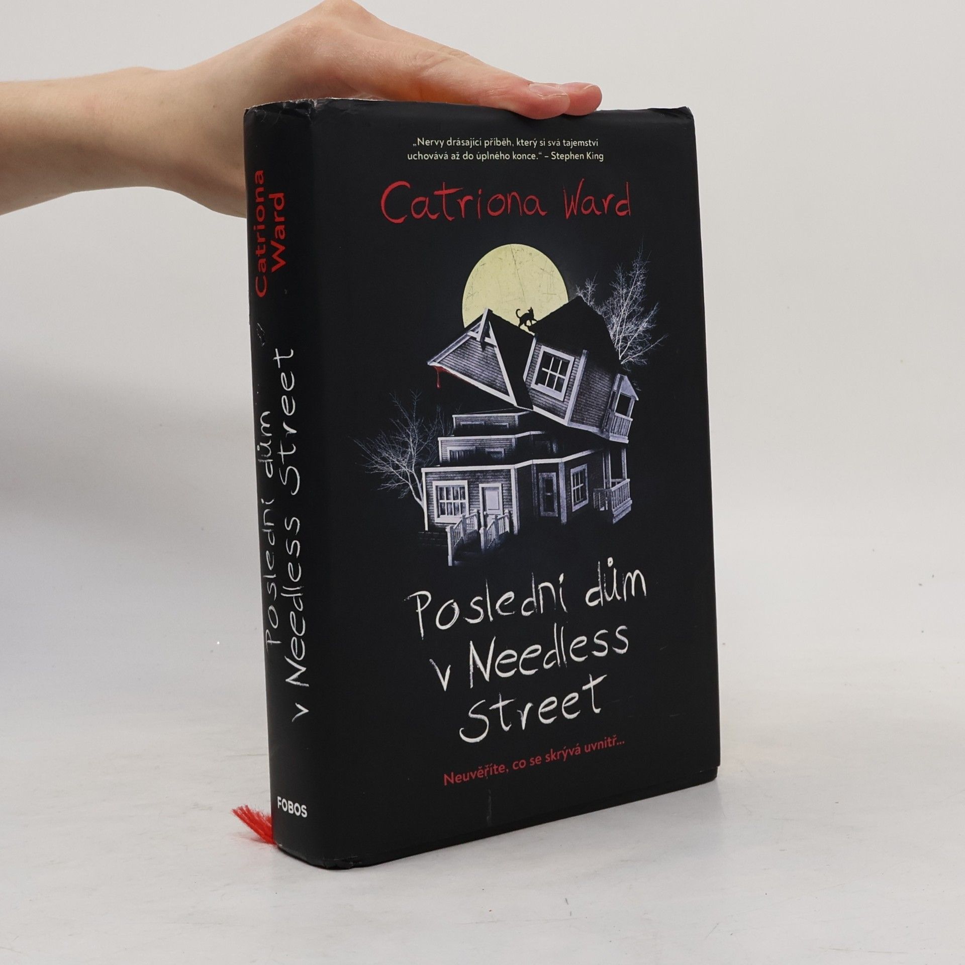 Catriona Ward Poslední dům v Needless Street