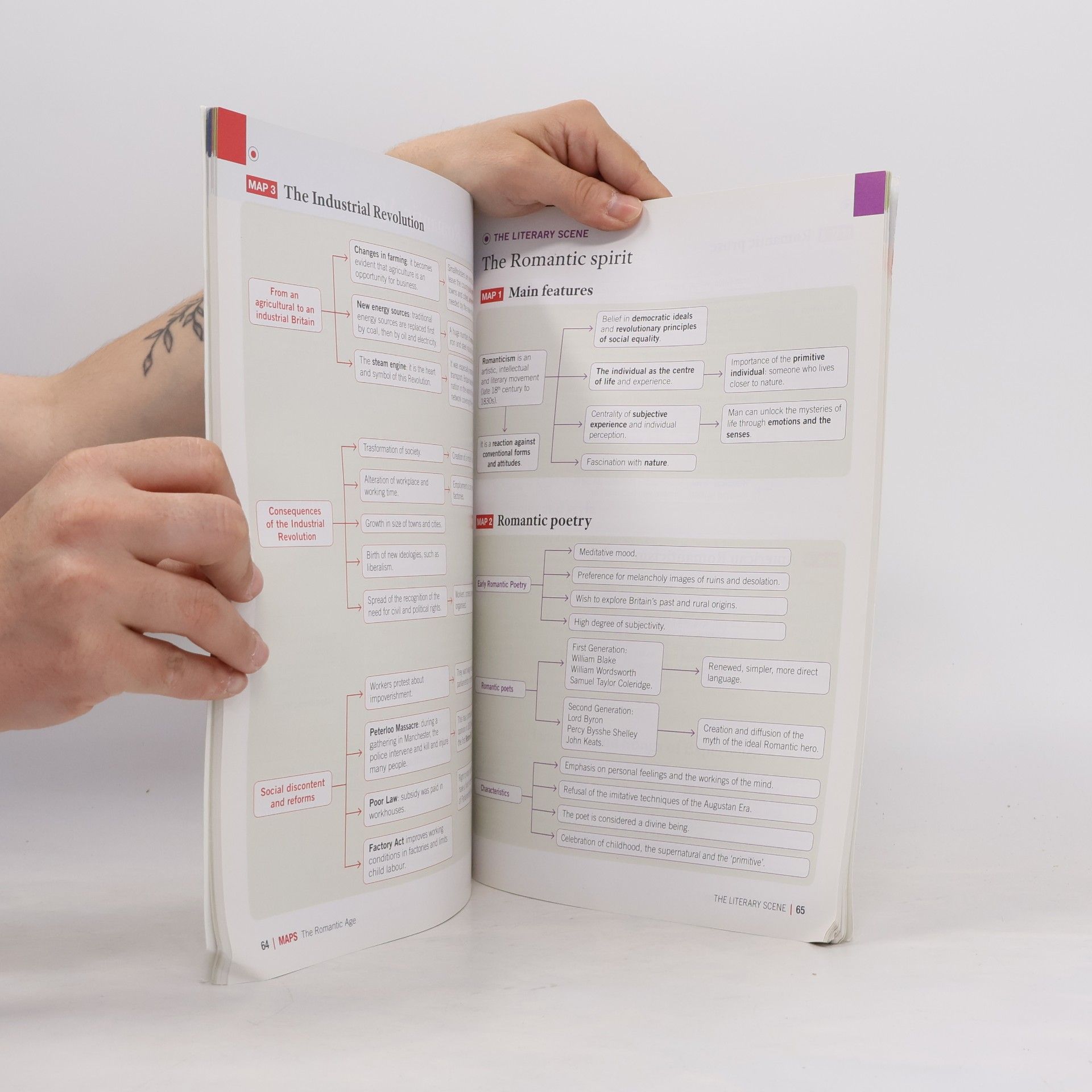 A. Martelli Study Tools