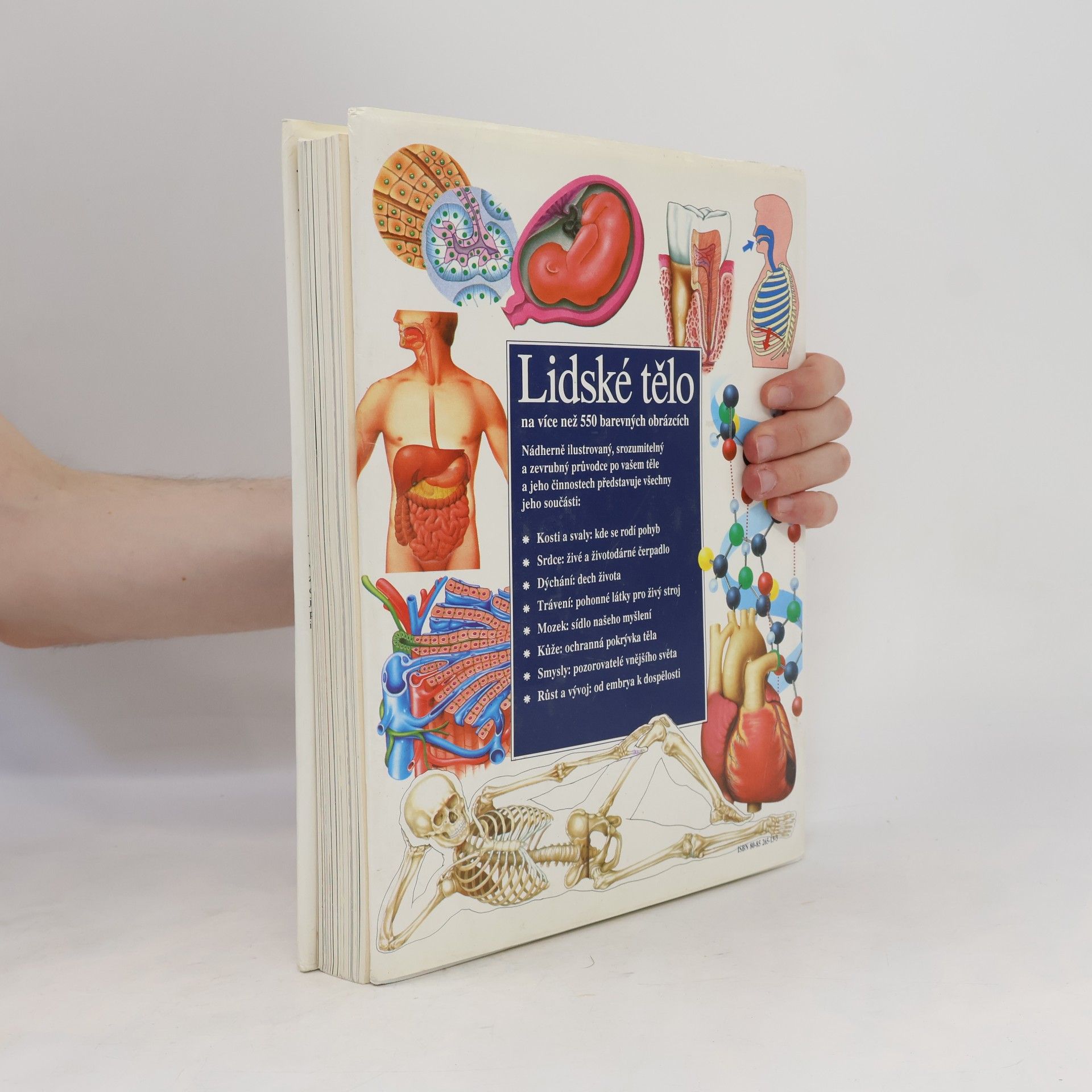 Collectif d'auteurs Lidské tělo : Srozumitelný a zevrubný průvodce po strukturách a funkcích lidského organismu
