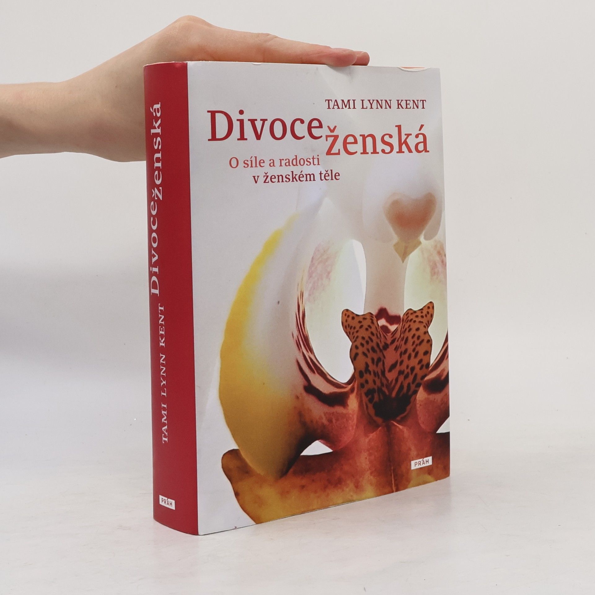 Tami Lynn Kent Divoce ženská
