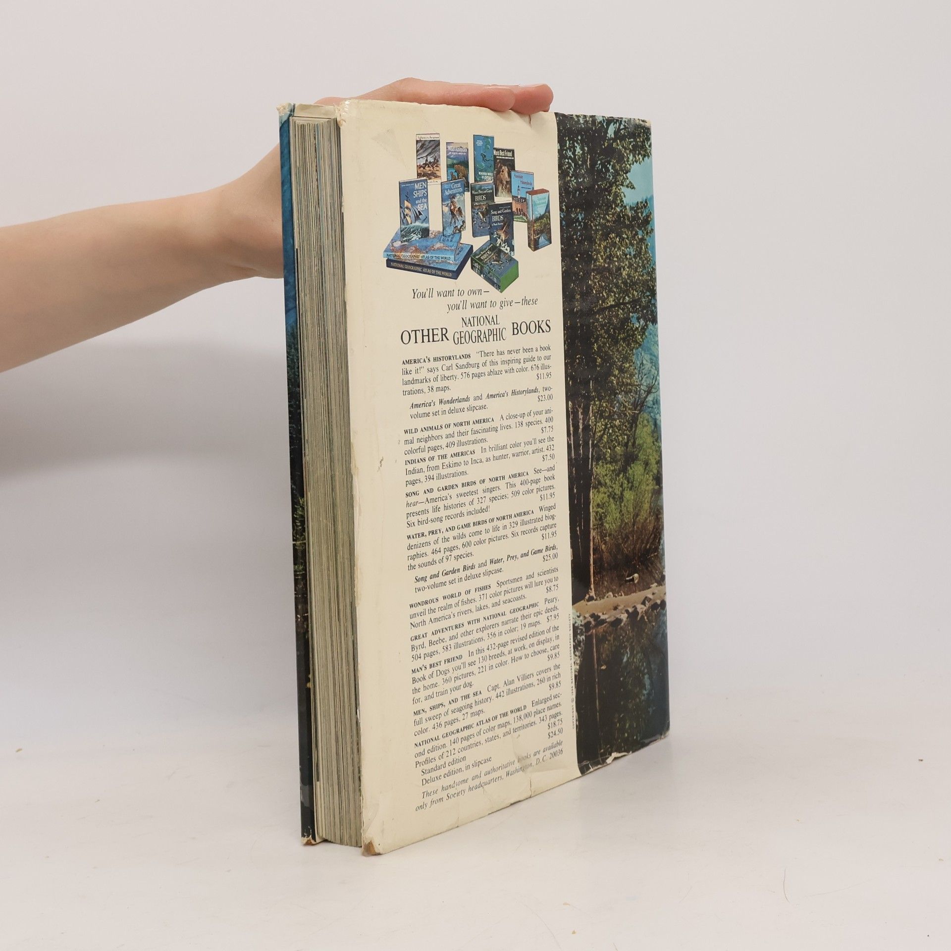 Autores varios America's ca's Wonderlands The National Parks