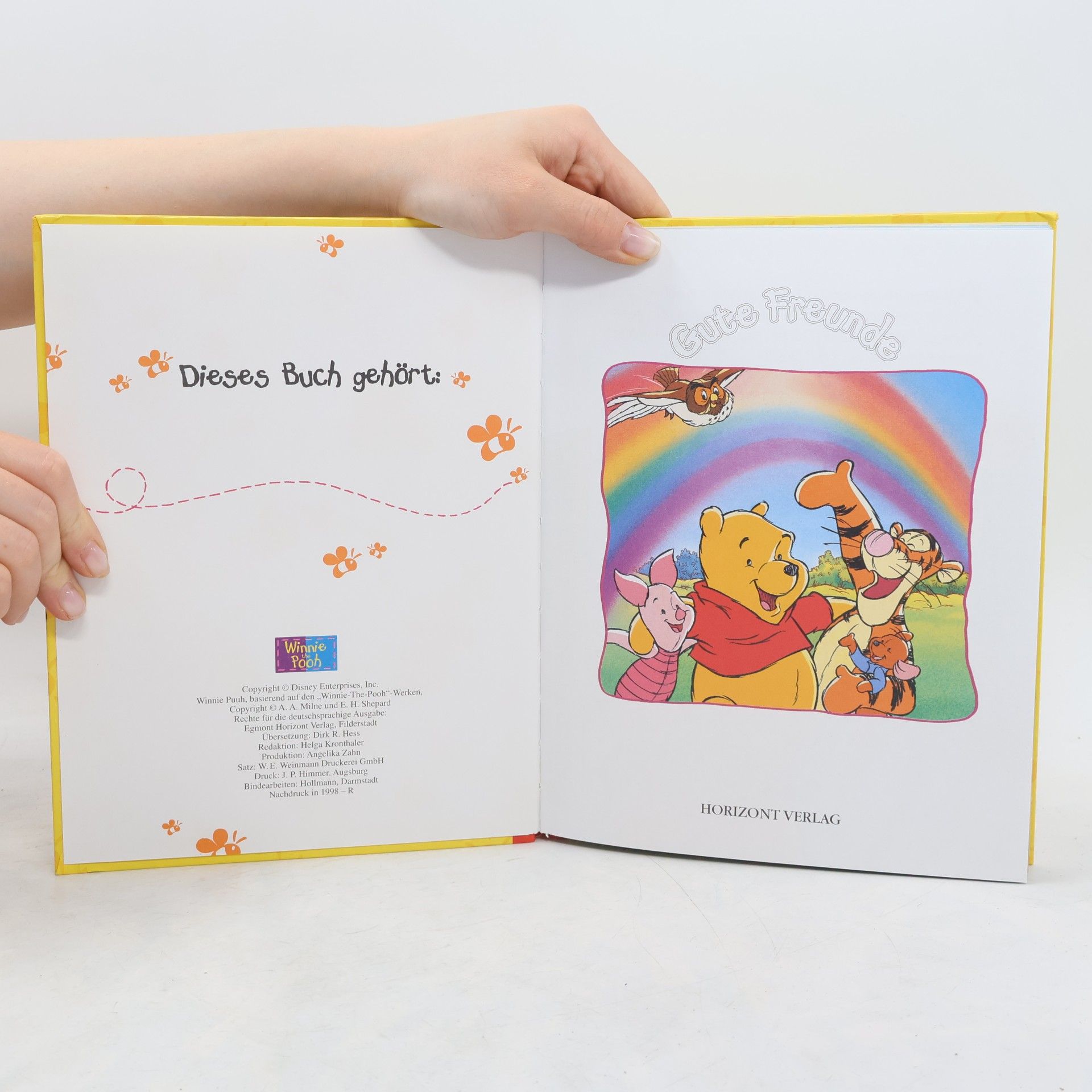 Autorenkollektiv Winnie Puuh. Gute Freunde