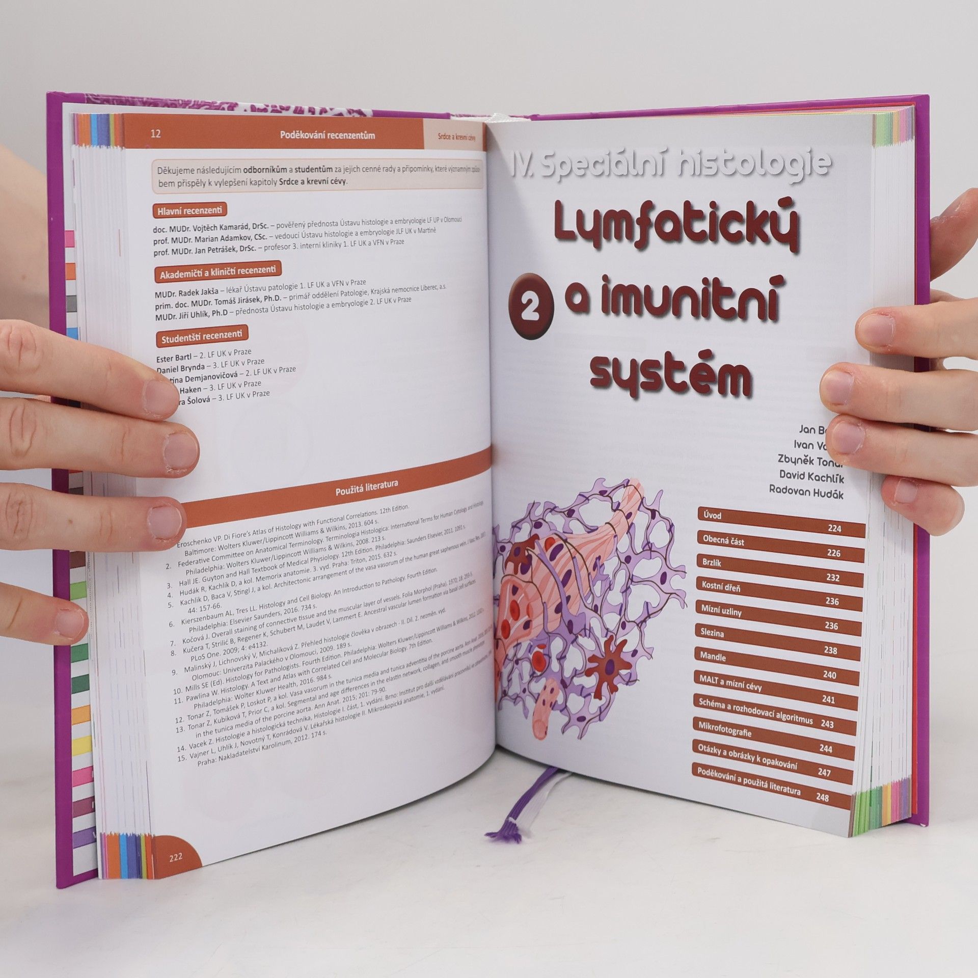 Ivan Varga Memorix histologie