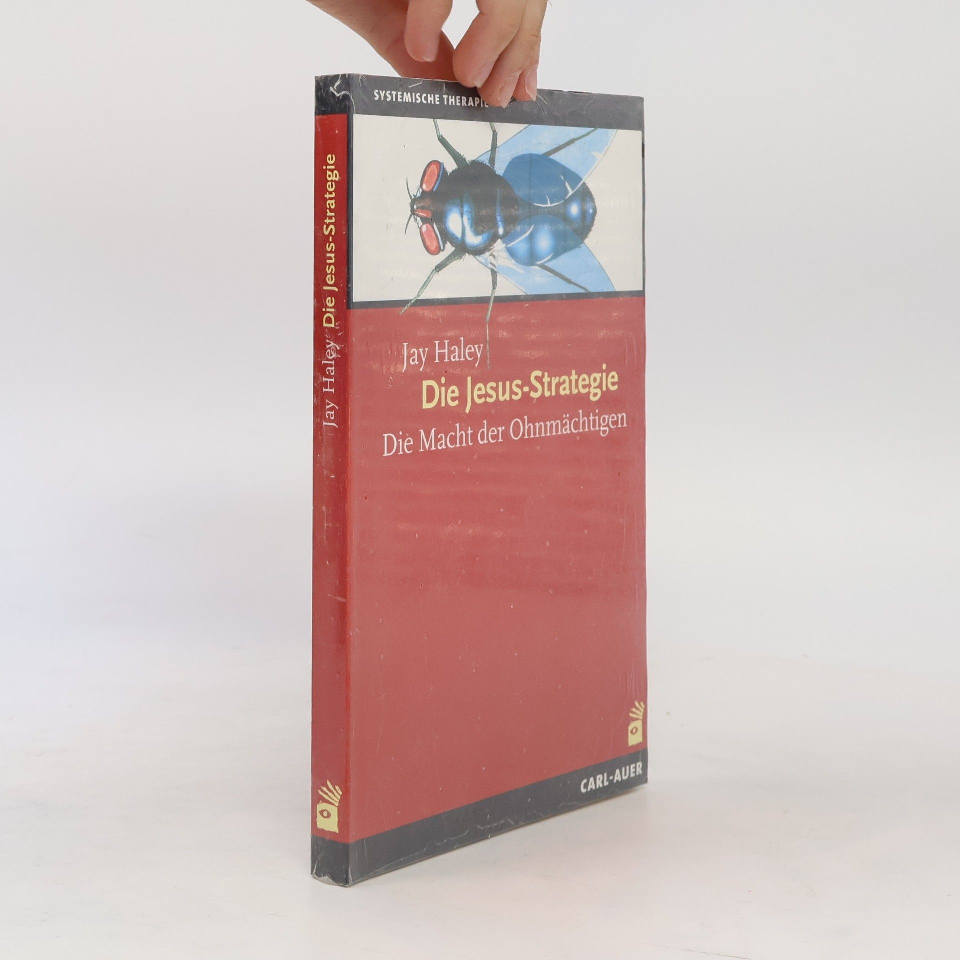 Jay Haley Die Jesus-Strategie
