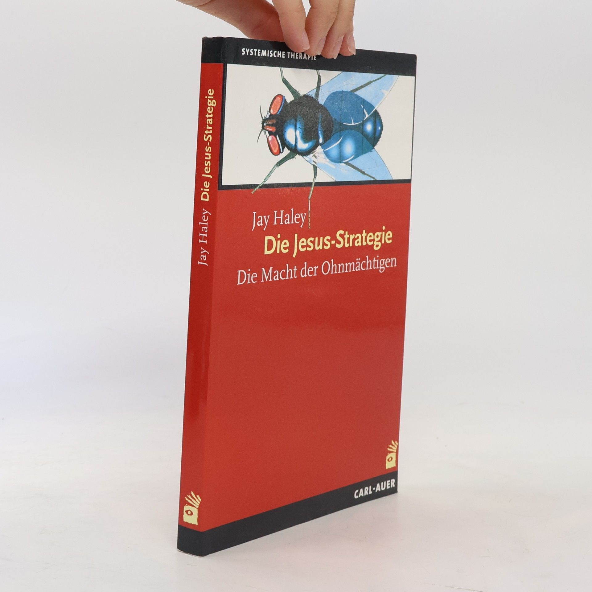 Jay Haley Die Jesus-Strategie