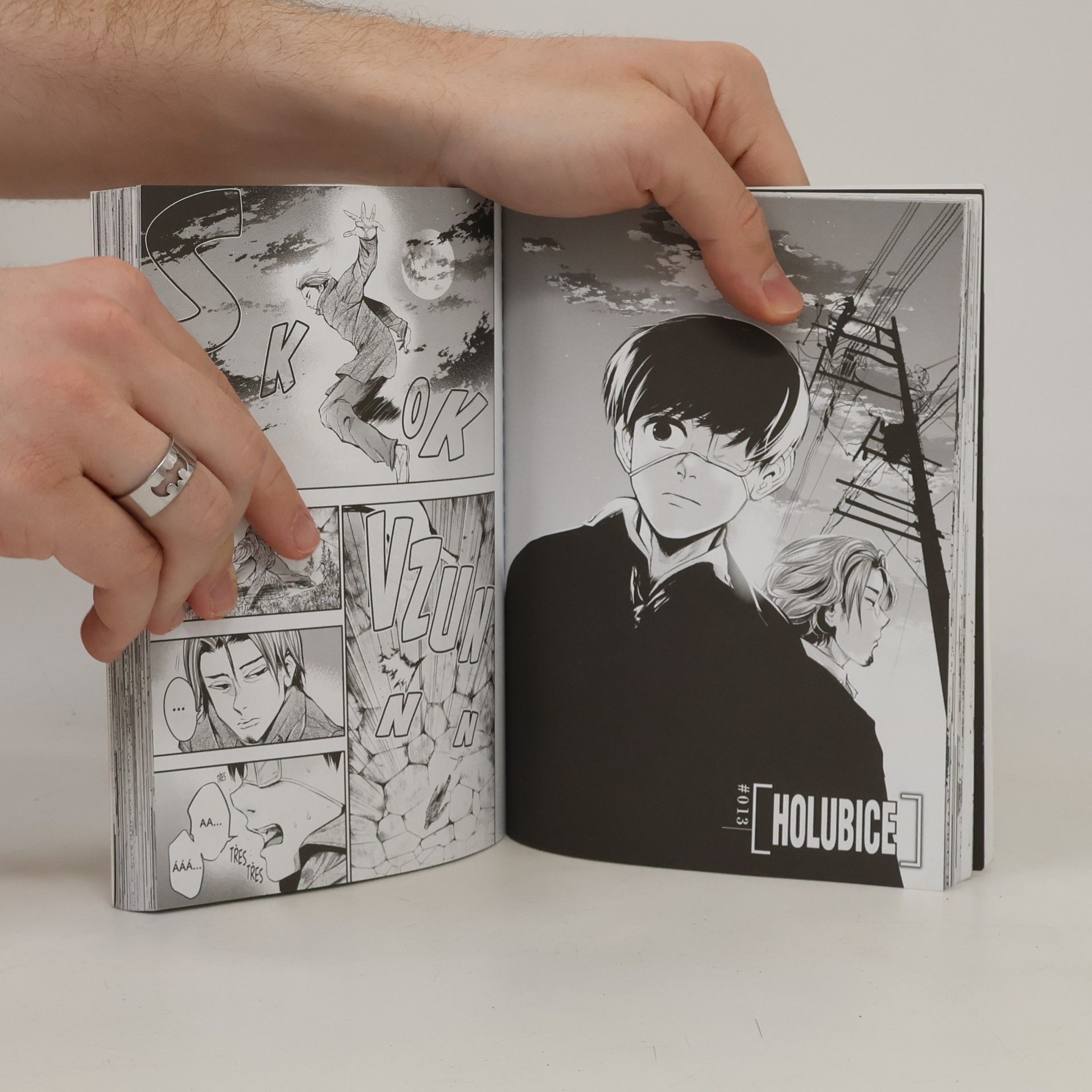 Sui Ishida Tokijský ghúl 2
