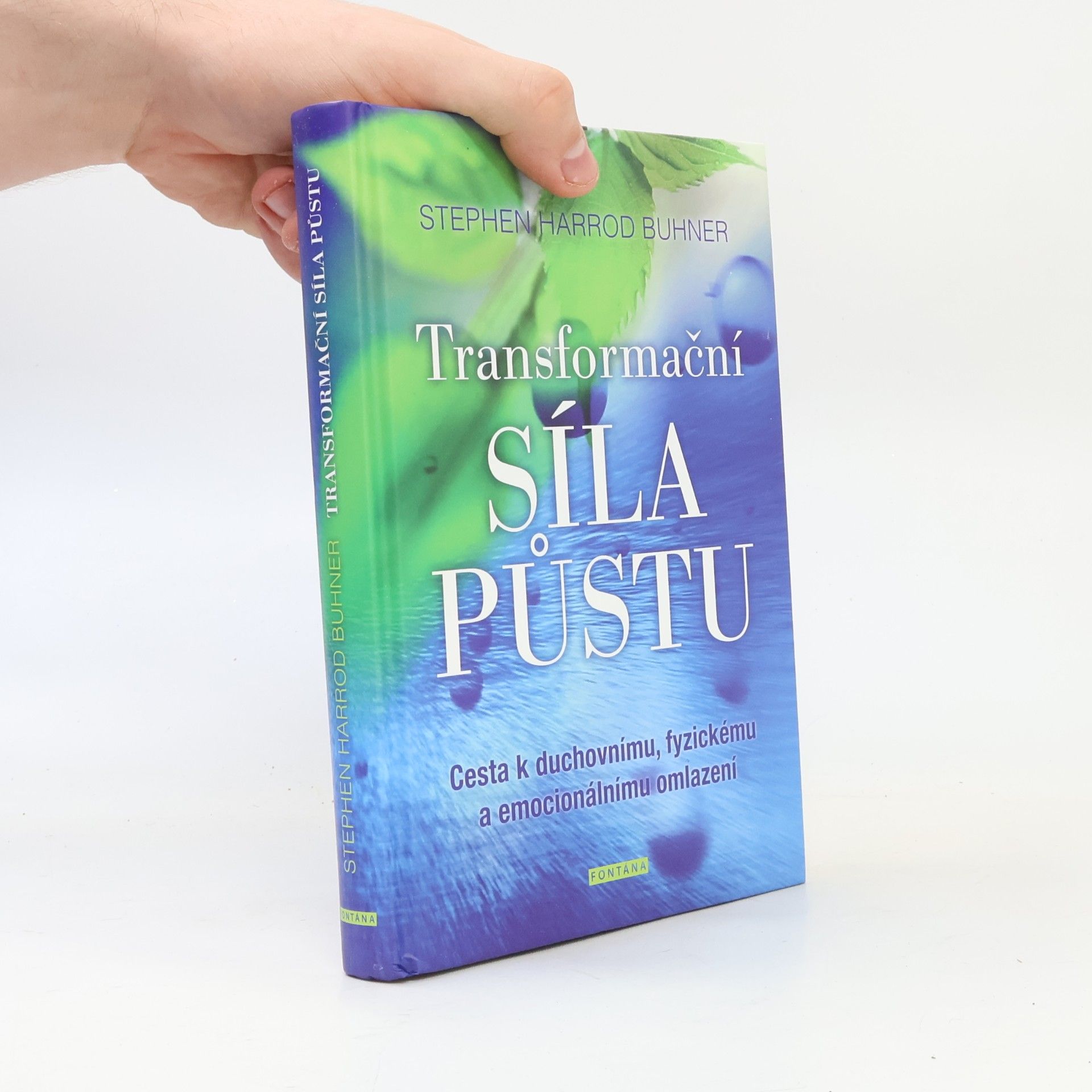 Stephen Harrod Buhner Transformační síla půstu