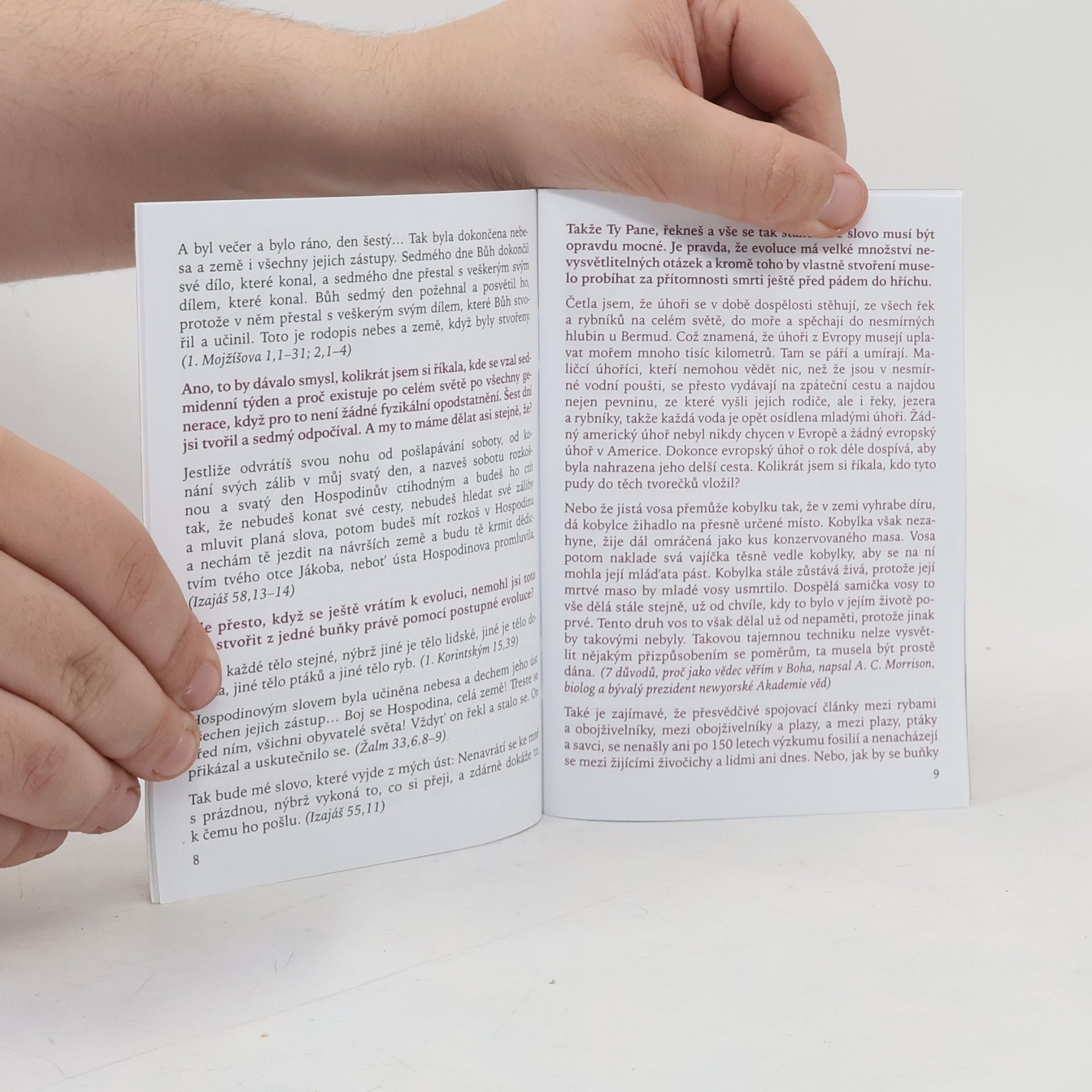 Autorenkollektiv Hledám pravého Boha