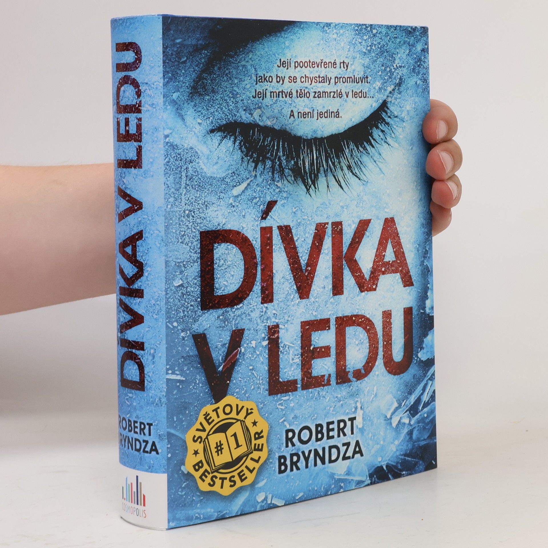 Robert Bryndza Dívka v ledu