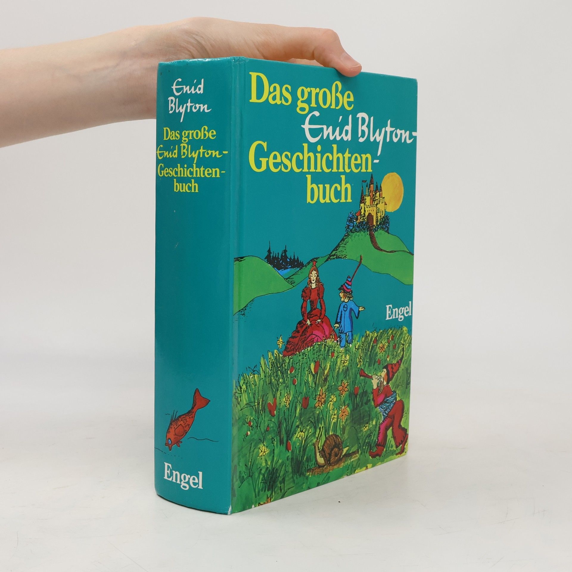 Enid Blyton Das große Enid Blyton-Geschichtenbuch