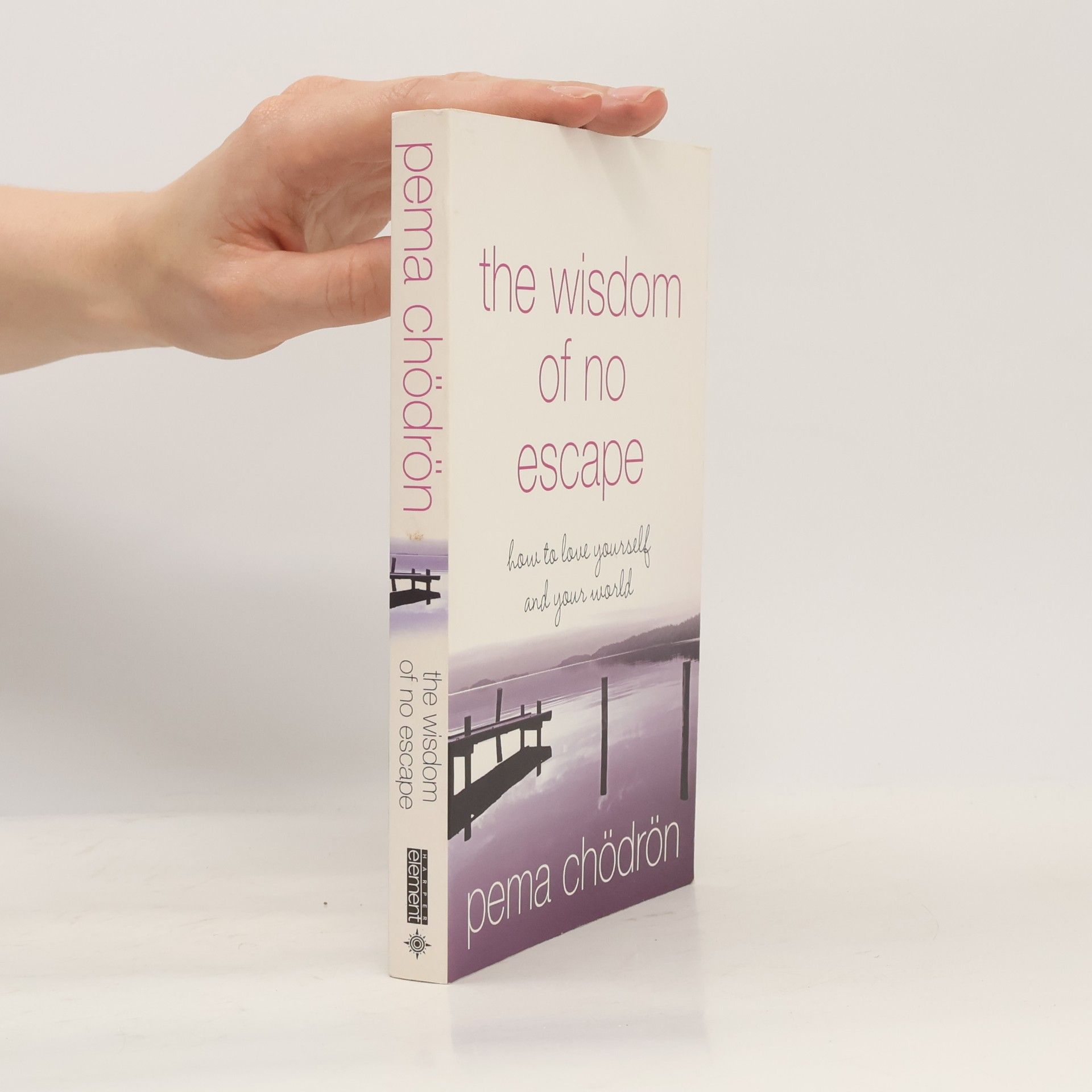 Pema Chödrön The Wisdom of No Escape