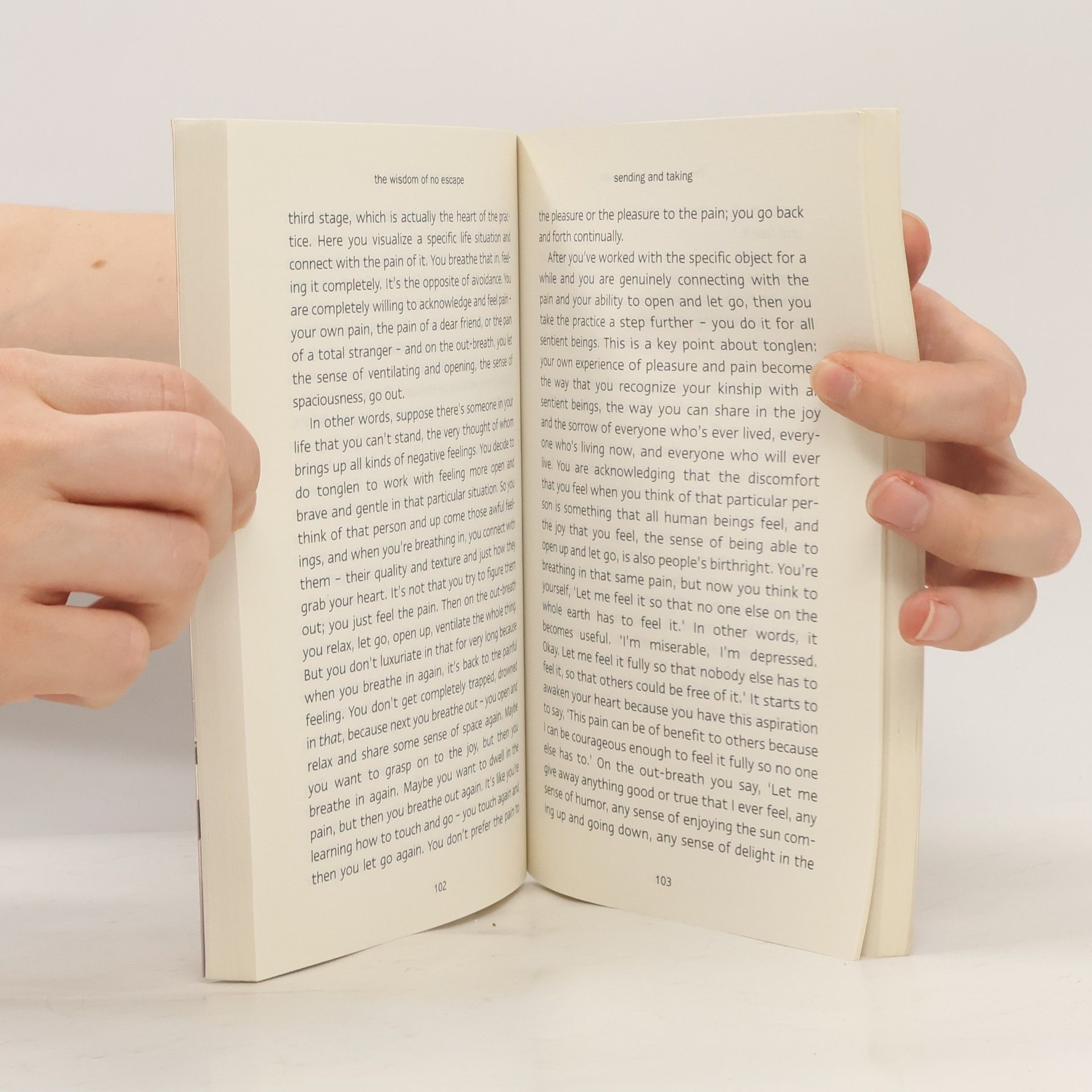 Pema Chödrön The Wisdom of No Escape