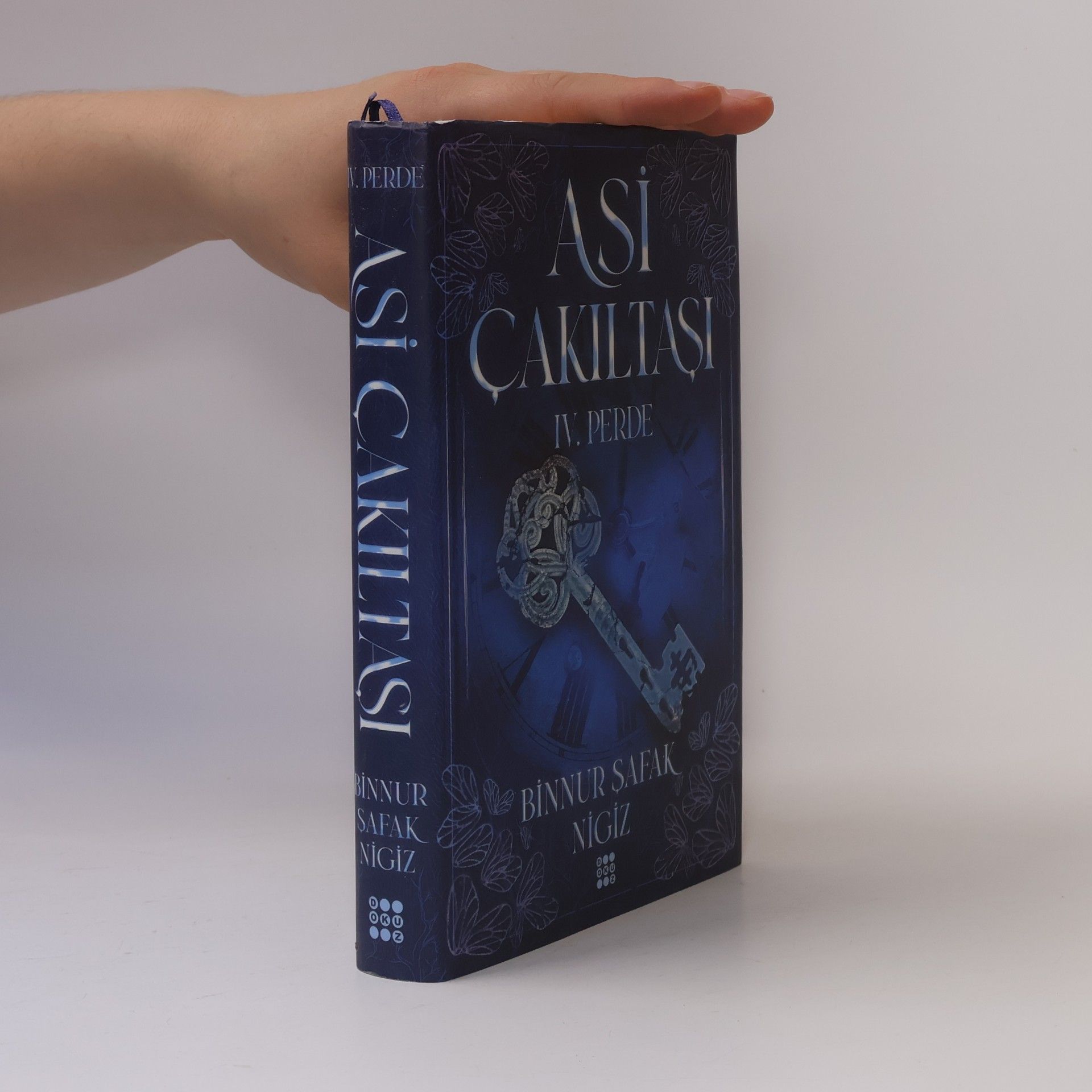 Binnur safak Nigiz Asi Çakıltaşı Serisi - 4: Asi Çakıltaşı