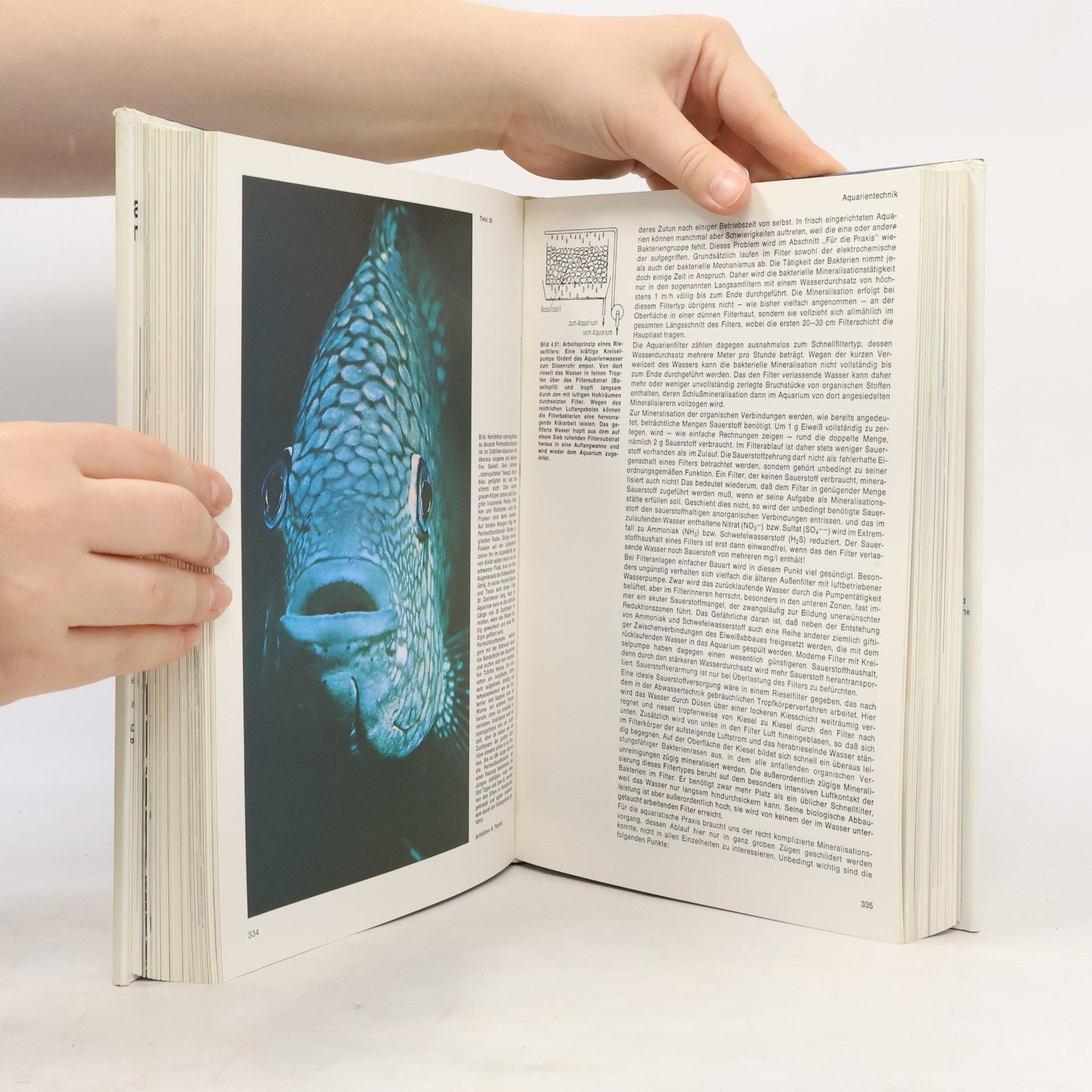 Gerhard Brünner Kosmos-Handbuch Aquarienkunde