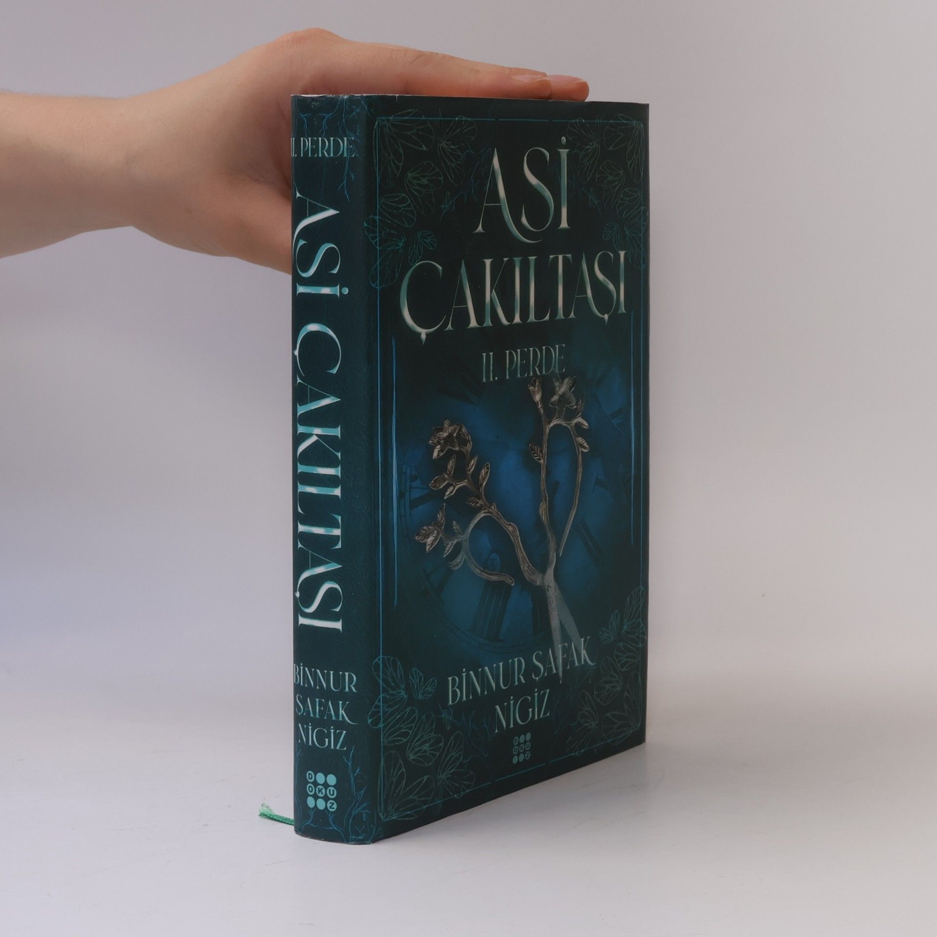Binnur safak Nigiz Asi Çakıltaşı Serisi - 2: Asi Çakıltaşı