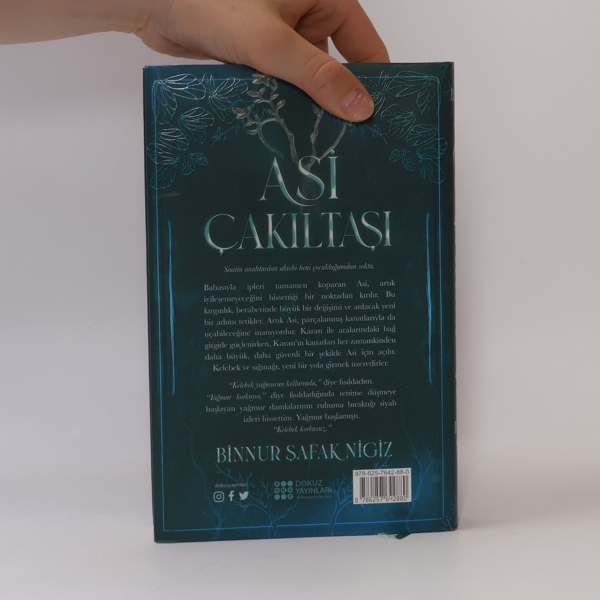 Binnur safak Nigiz Asi Çakıltaşı Serisi - 2: Asi Çakıltaşı