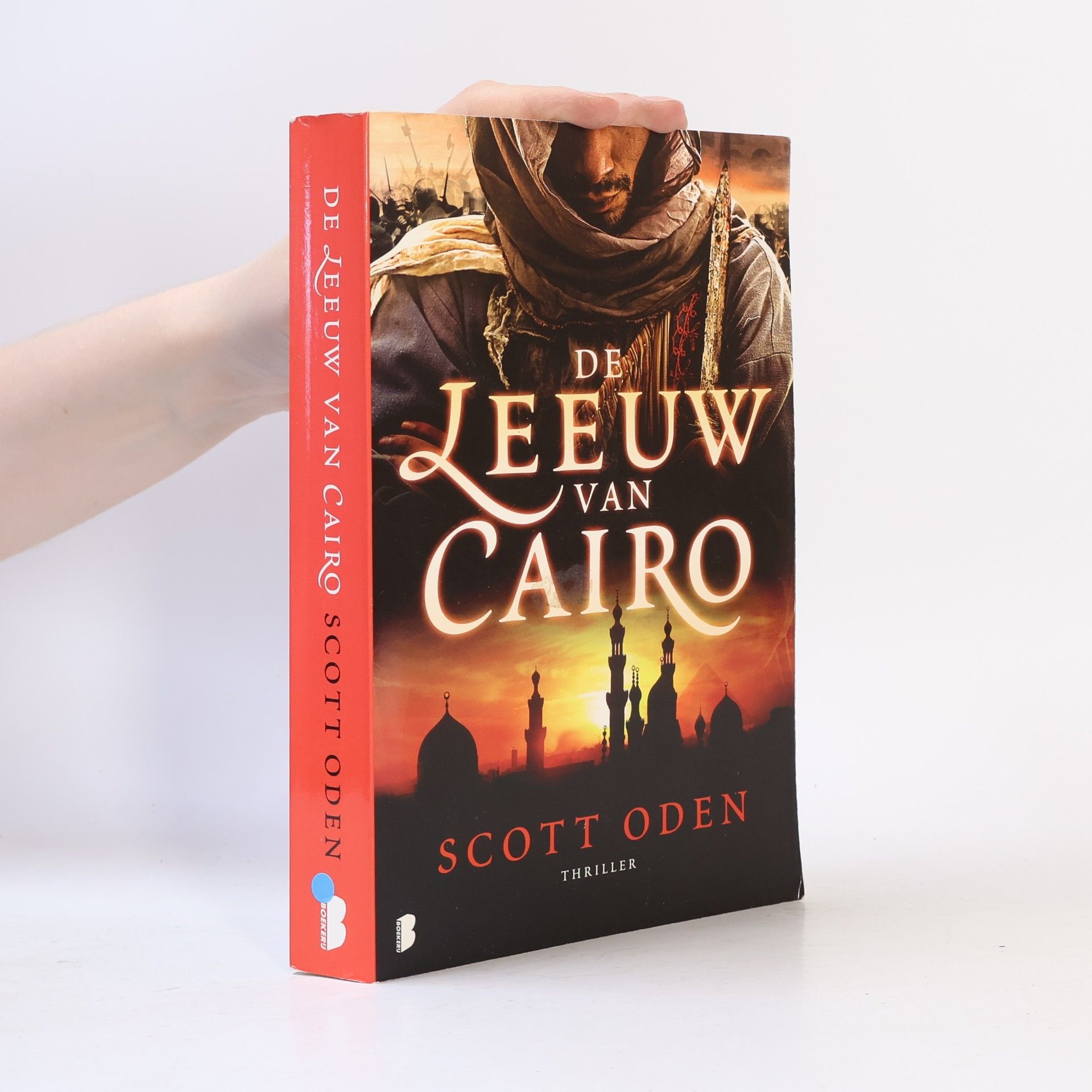 Hugo Kuipers De leeuw van Cairo