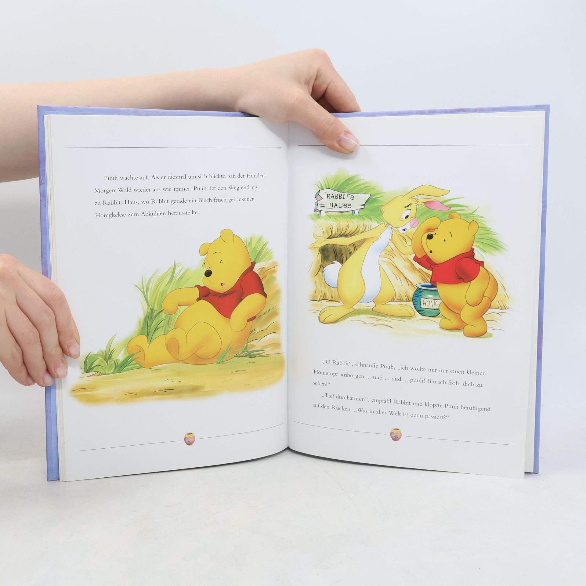 Walt Disney Es war einmal... Märchen mit Winnie Puuh