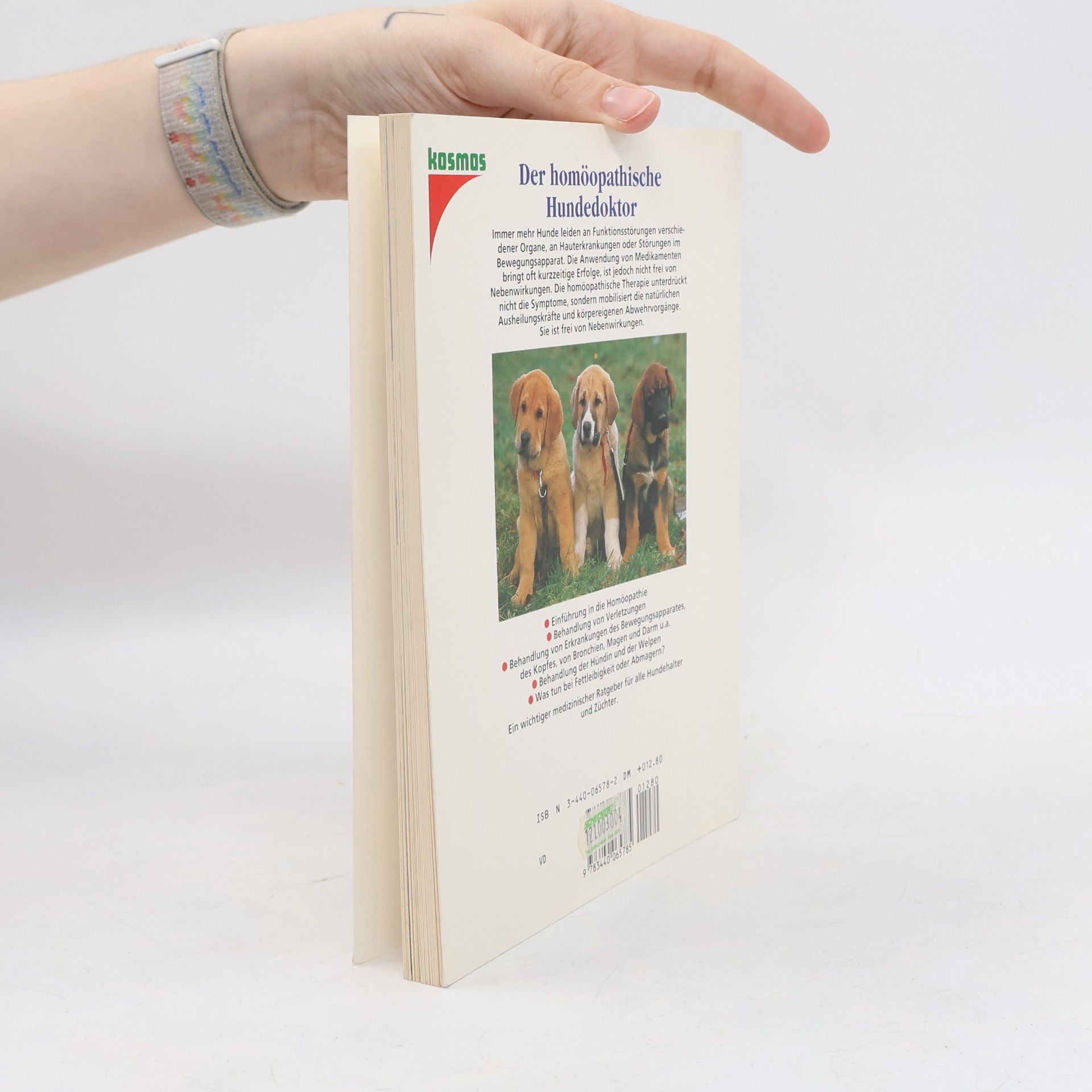 Barbara Rakow Der homöopathische Hundedoktor. Eine Naturheilkunde für Hunde