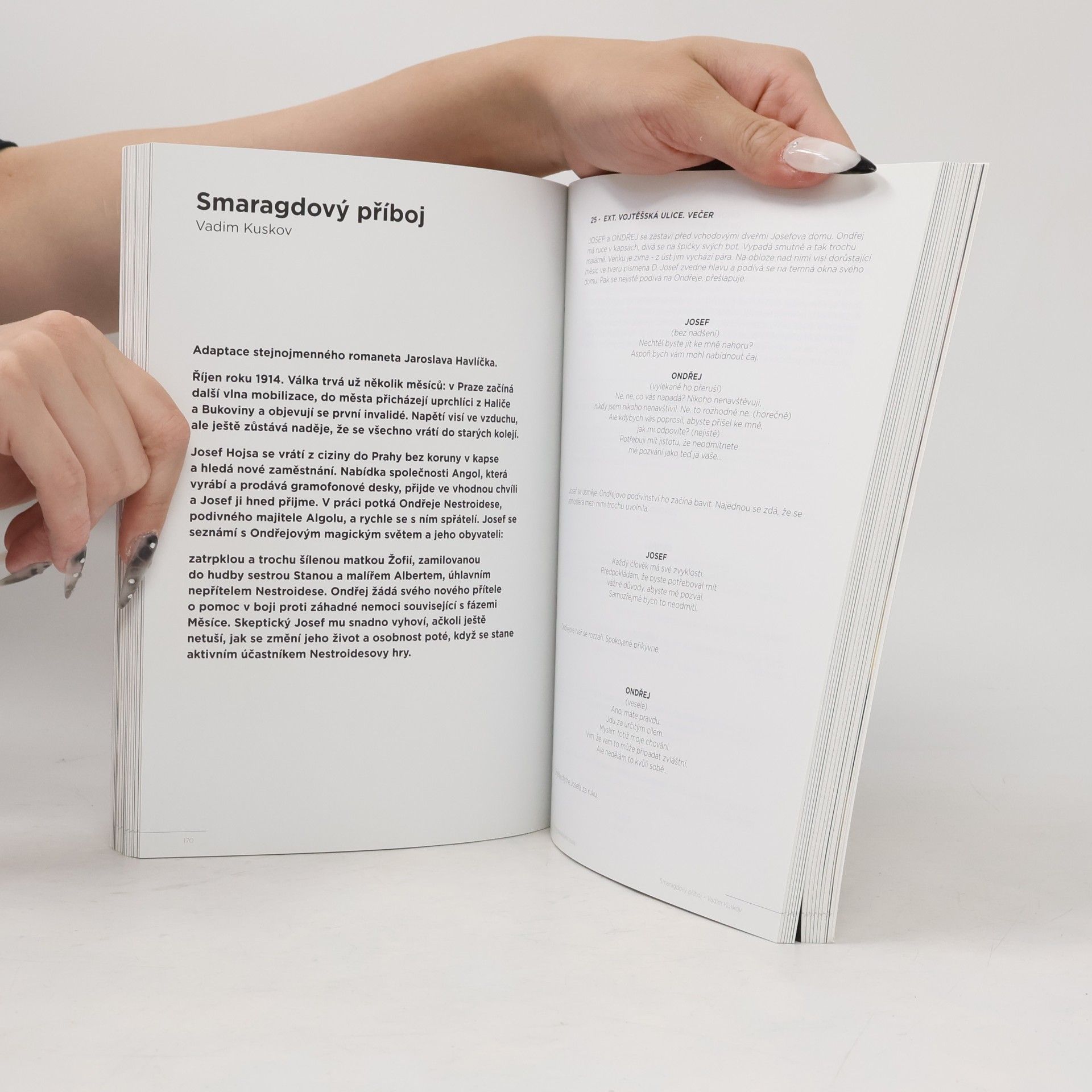 Autorenkollektiv Katedra scenáristiky a dramaturgie. Scénáře 2017