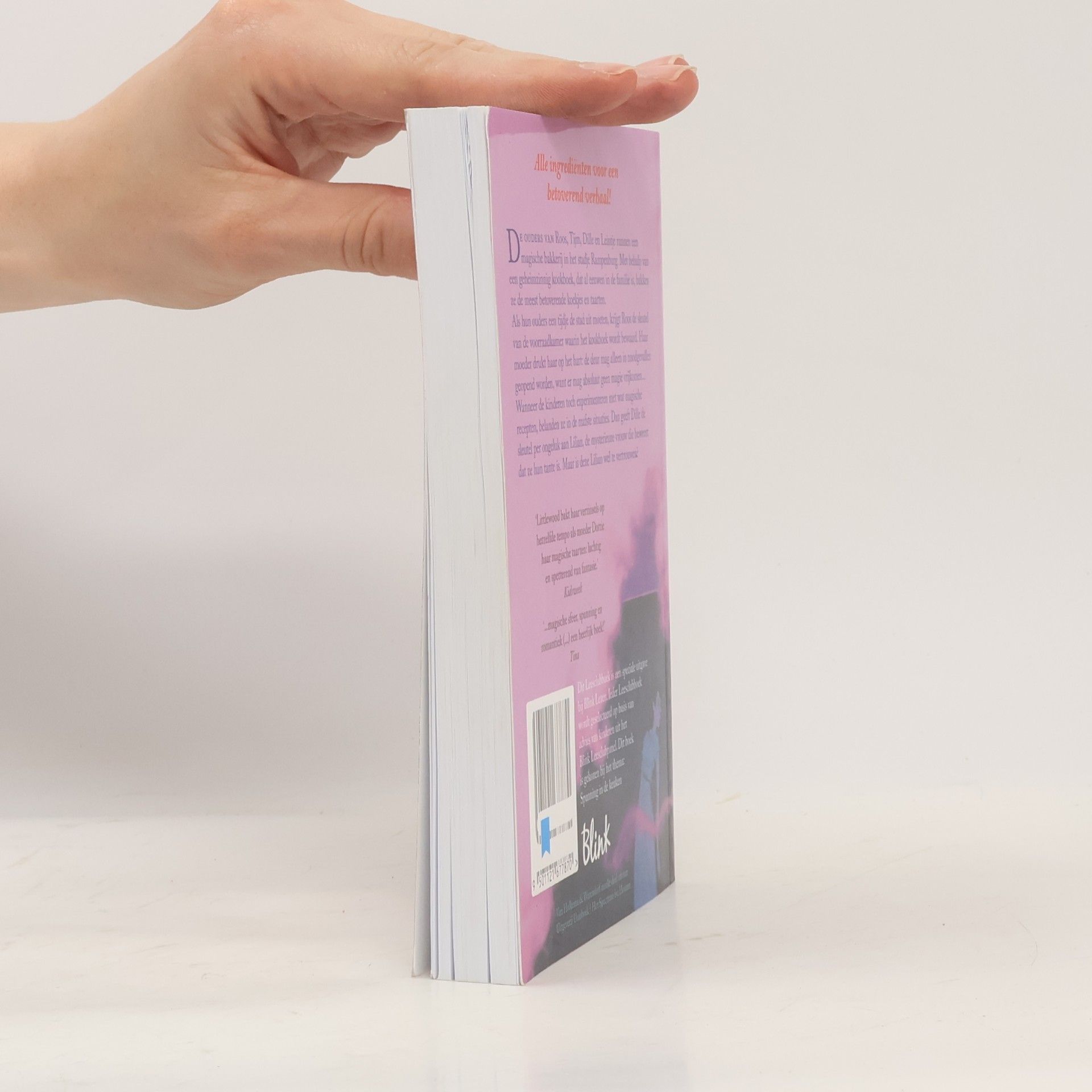 Kathryn Littlewood Het magische receptenboek van Bakkerij Bliss