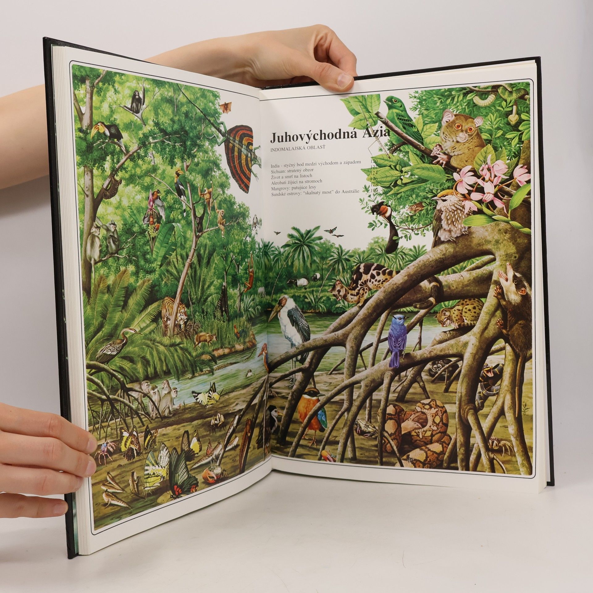 Auteurscollectief Veľký atlas živočíchov. Jedinečný obraz života na Zemi