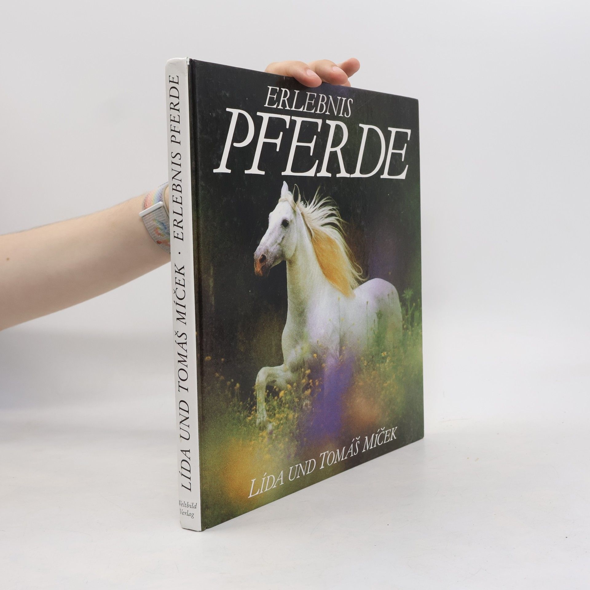 Lída Míček Erlebnis Pferde