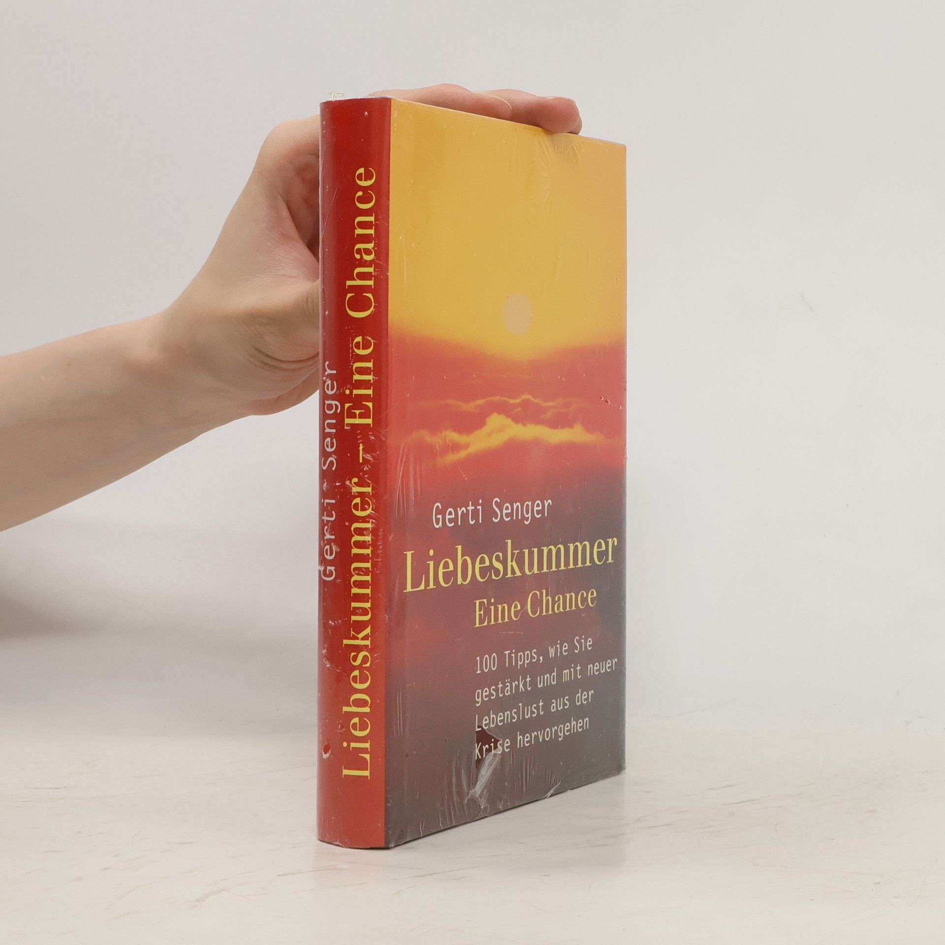 Gerti Senger Liebeskummer :Eine Chance. 100 Tipps, wie Sie gestärkt und mit neuer Lebenslust aus der Krise hervorgehen