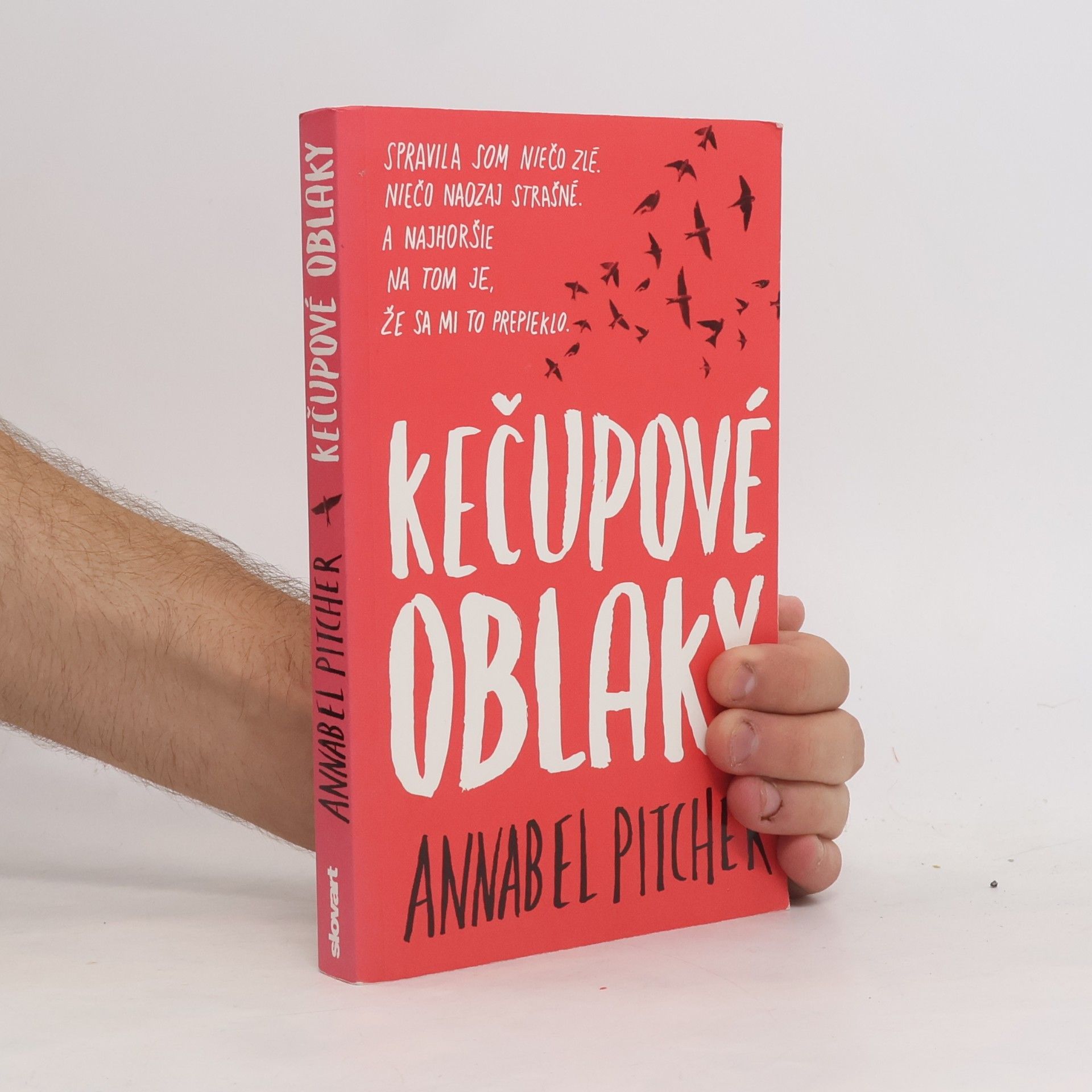 Annabel Pitcher Kečupové oblaky