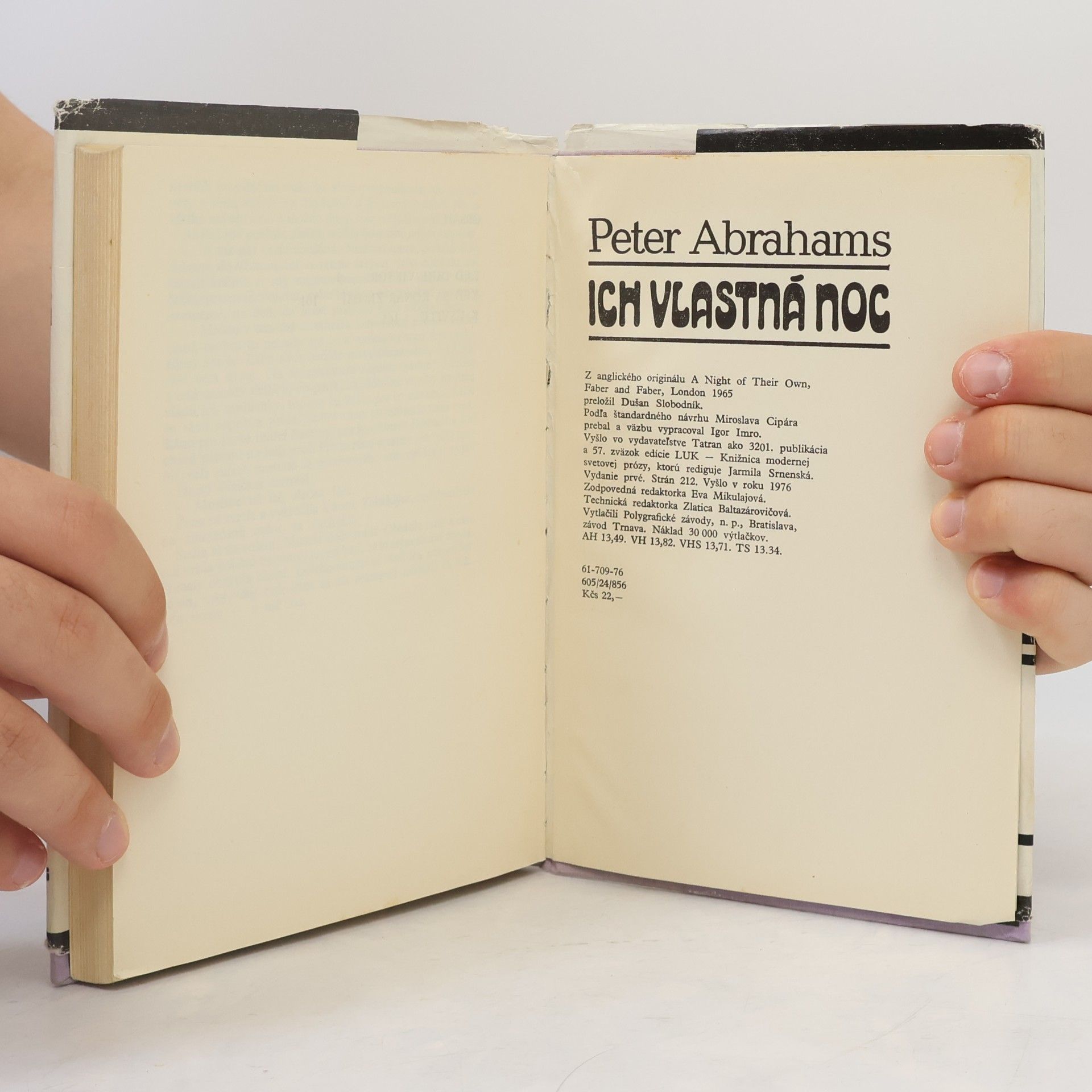 Peter Abrahams Ich vlastná noc