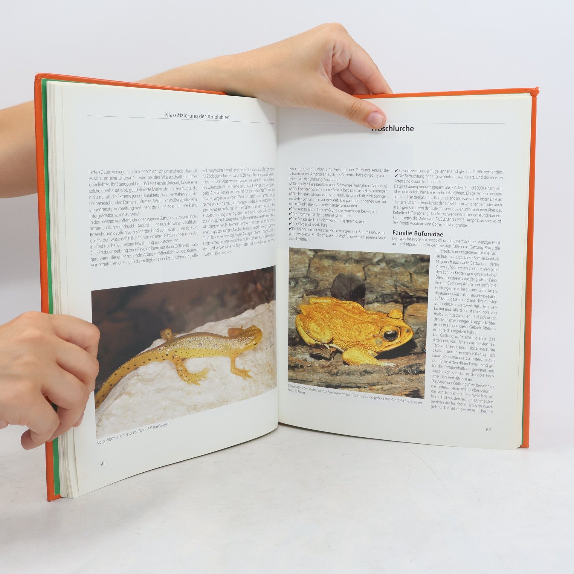 John Coborn Das große Buch der Amphibien