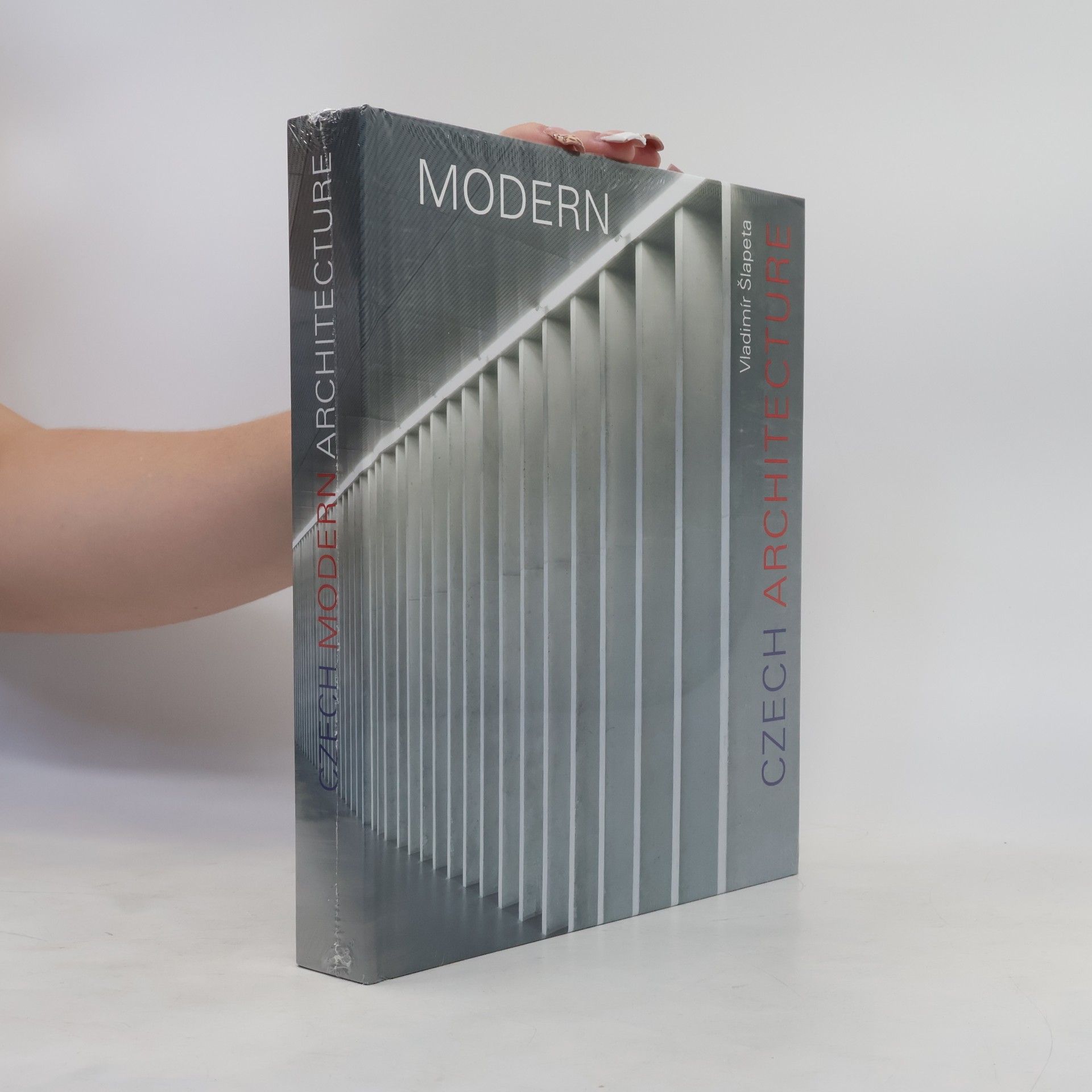Collectif d'auteurs Czech Modern Architecture