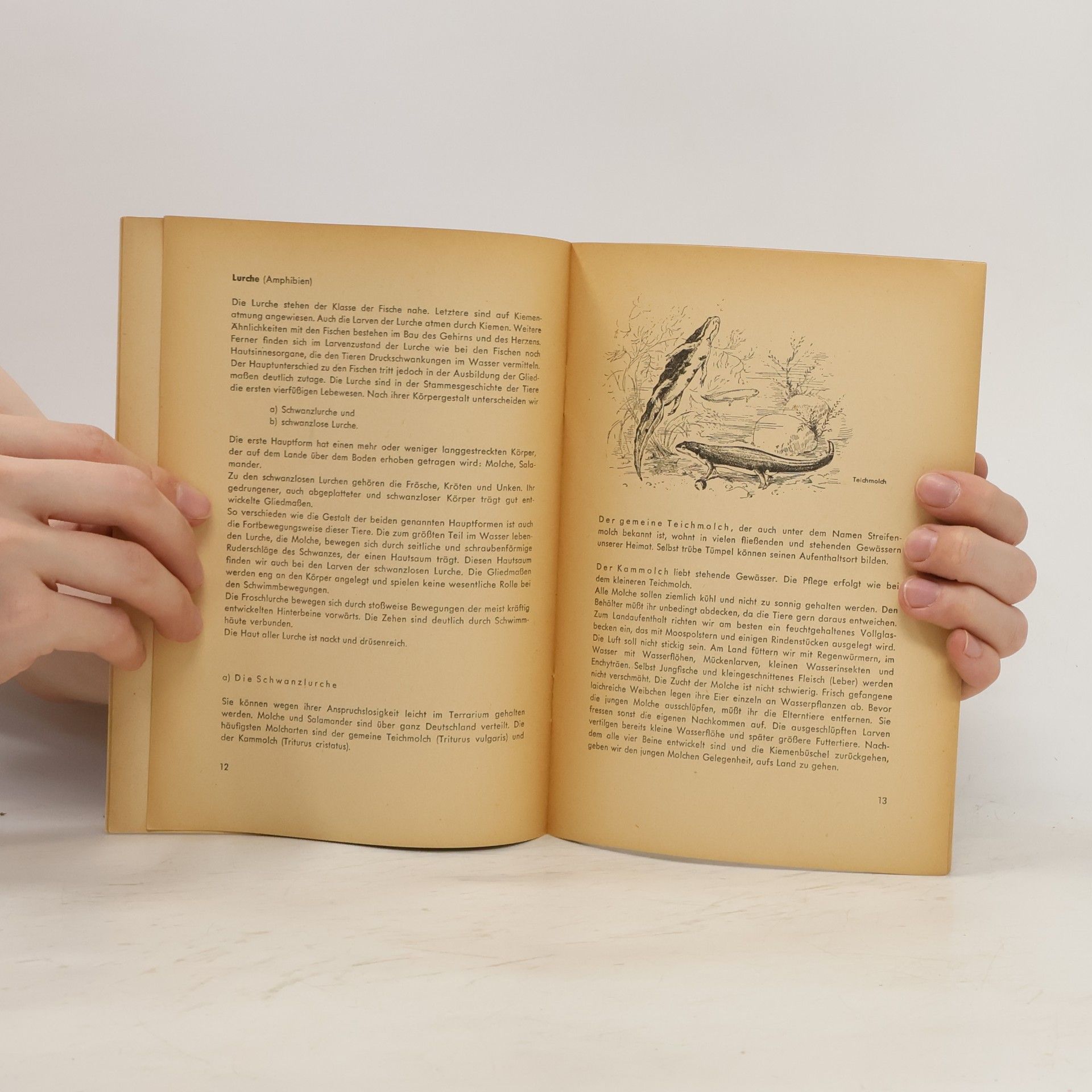 Randolf Erhardt Mein Terrarium