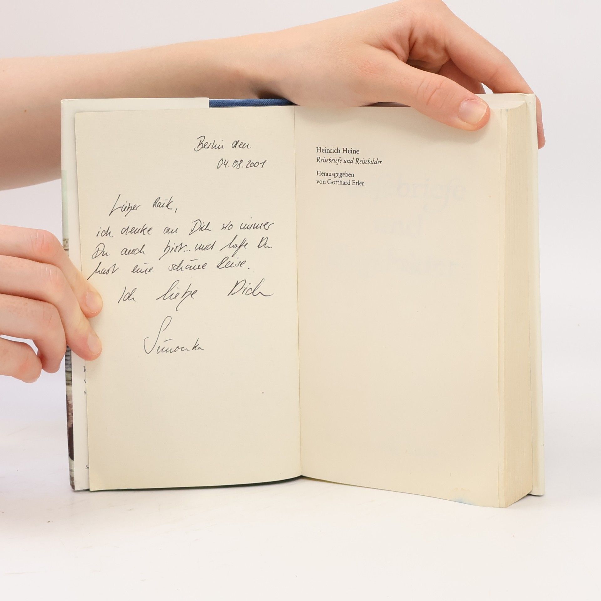 Heinrich Heine Reifebriefe und Reifebilder