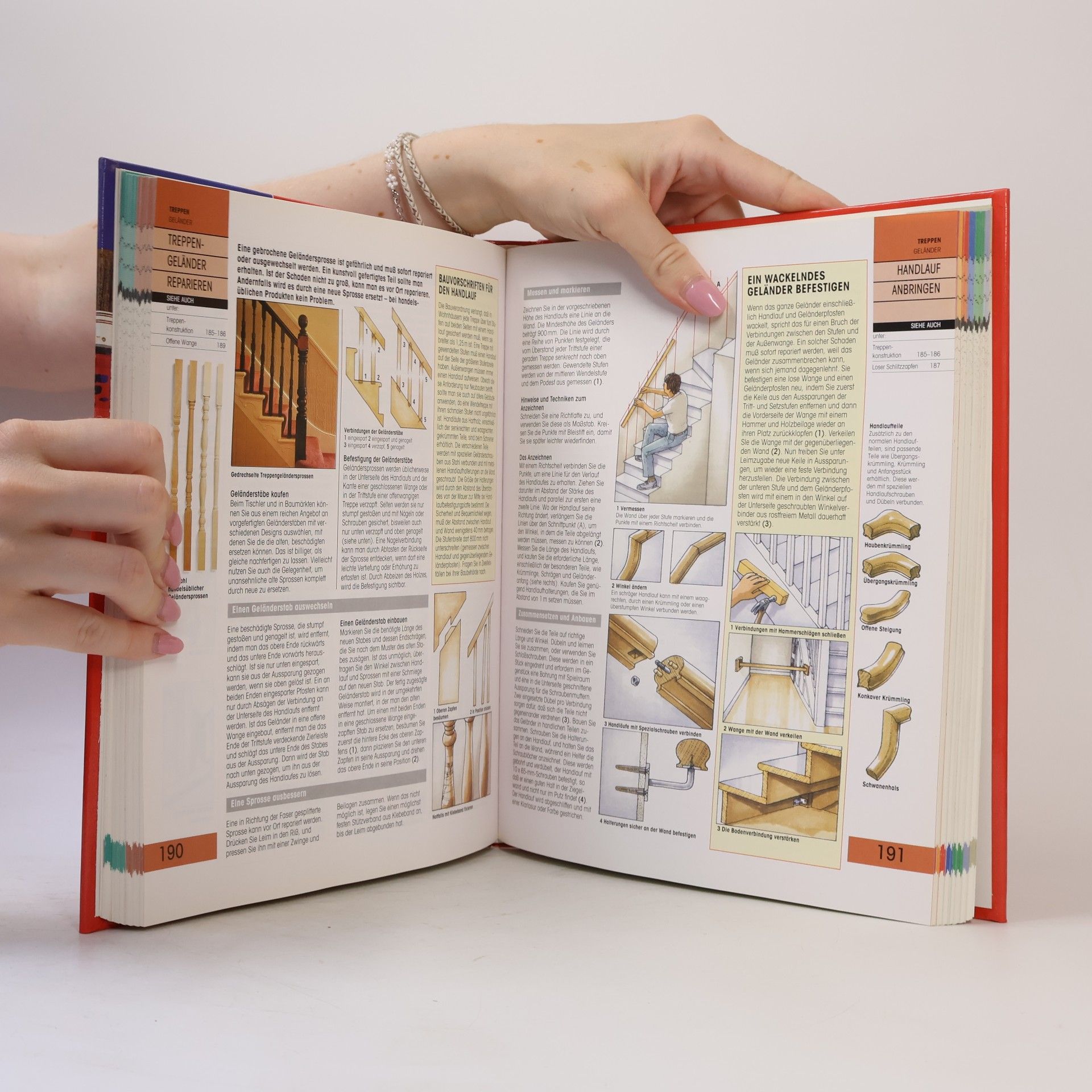 Albert Jackson Das große Bassermann Heimwerkerbuch