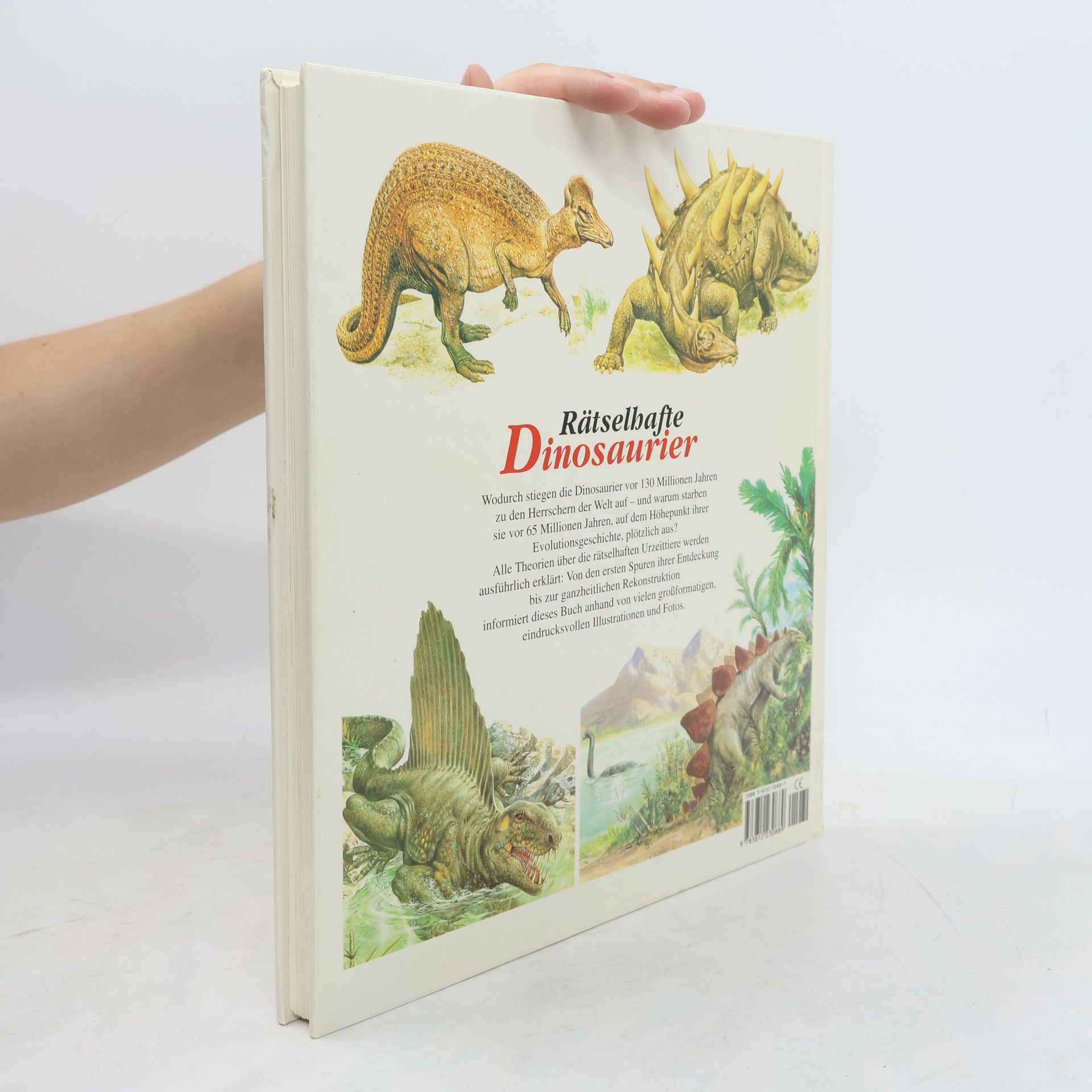 Roberto Zorzin Rätselhafte Dinosaurier