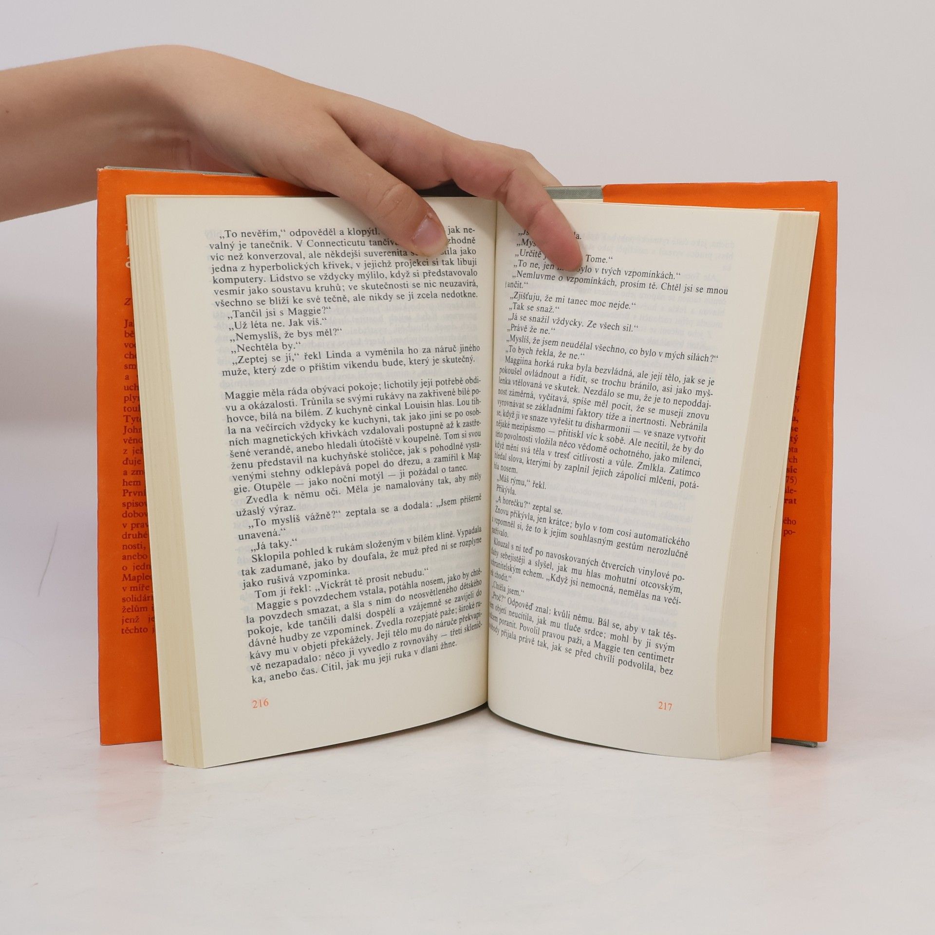 John Updike Milenci a manželé