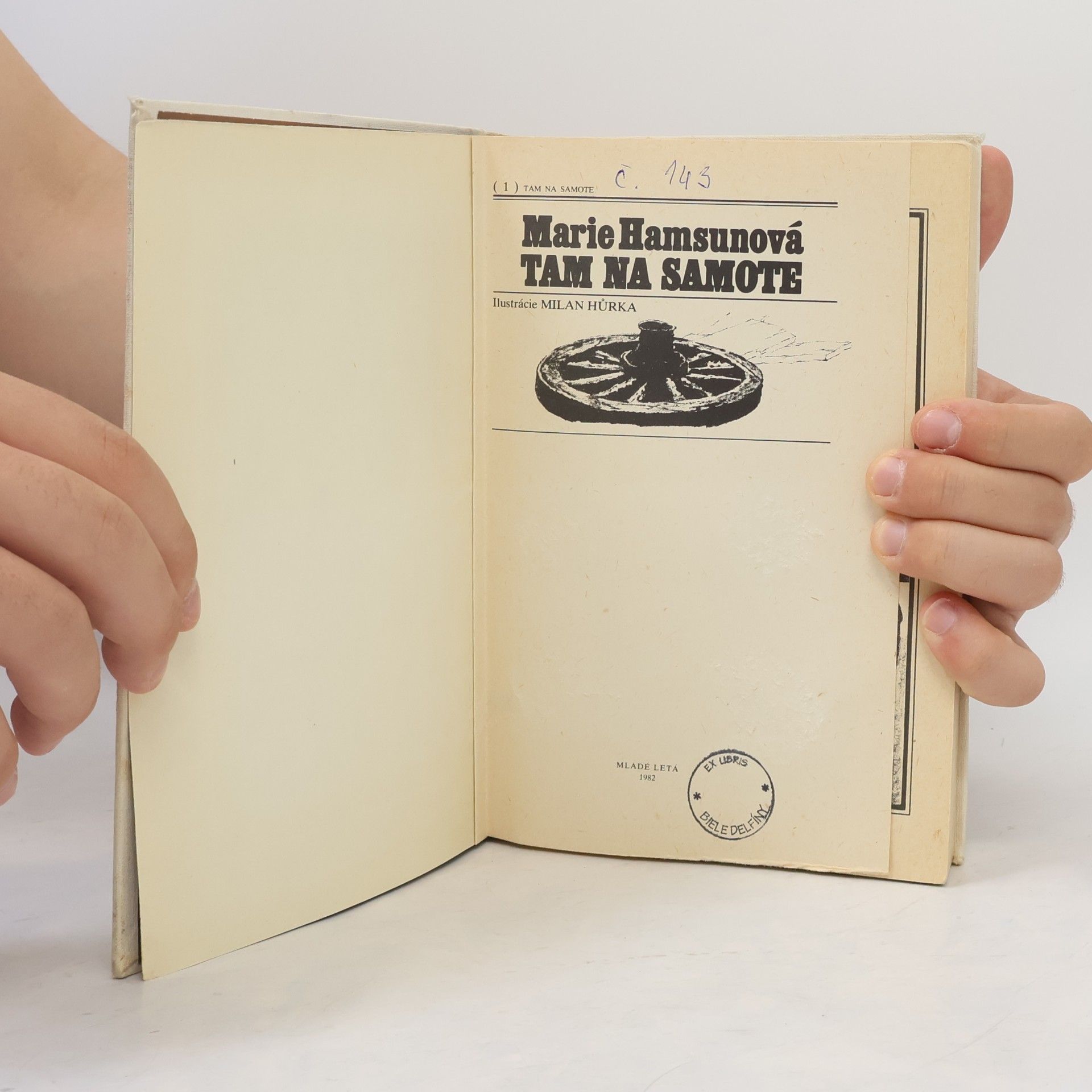 Marie Hamsun Tam na samote