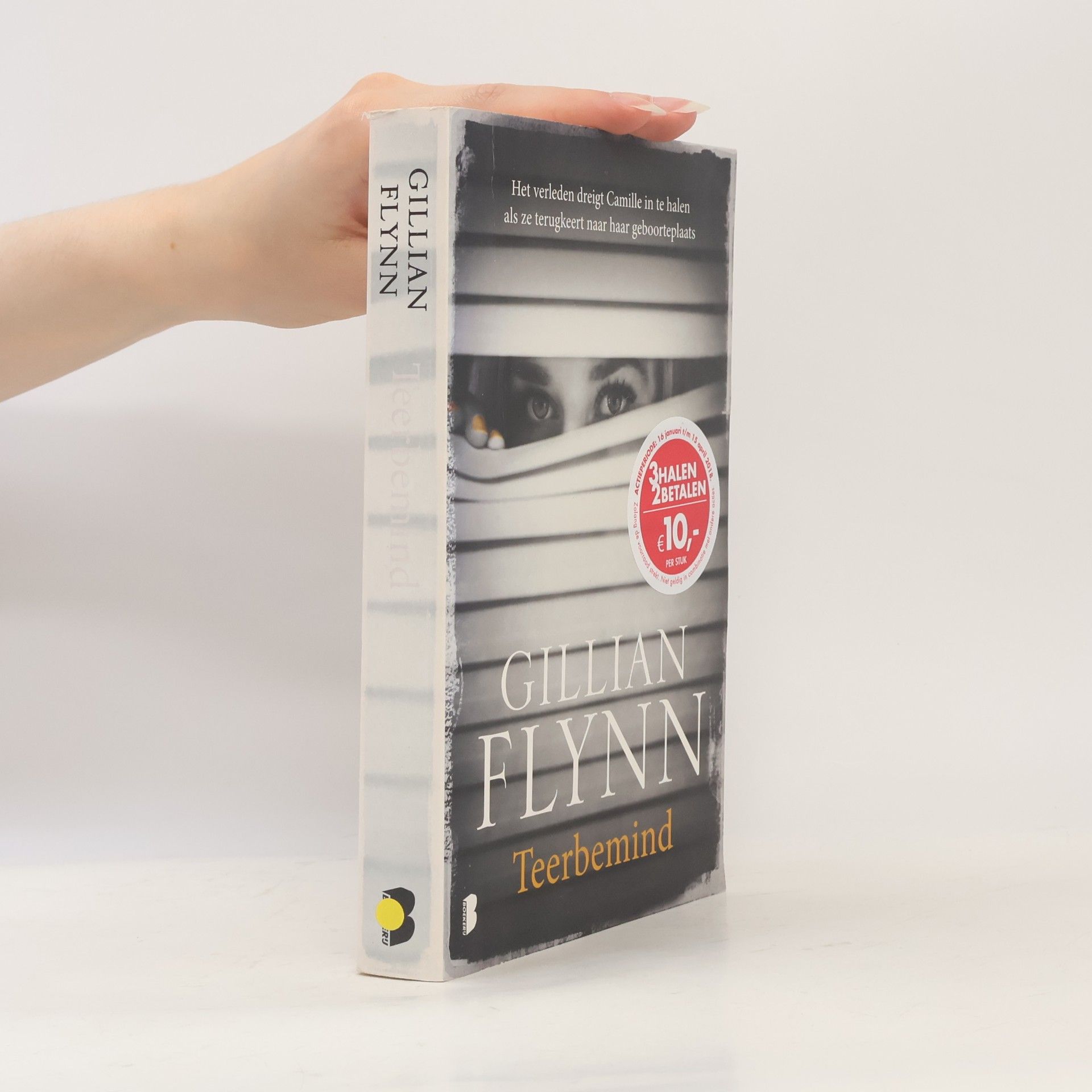 Gillian Flynn Teerbemind