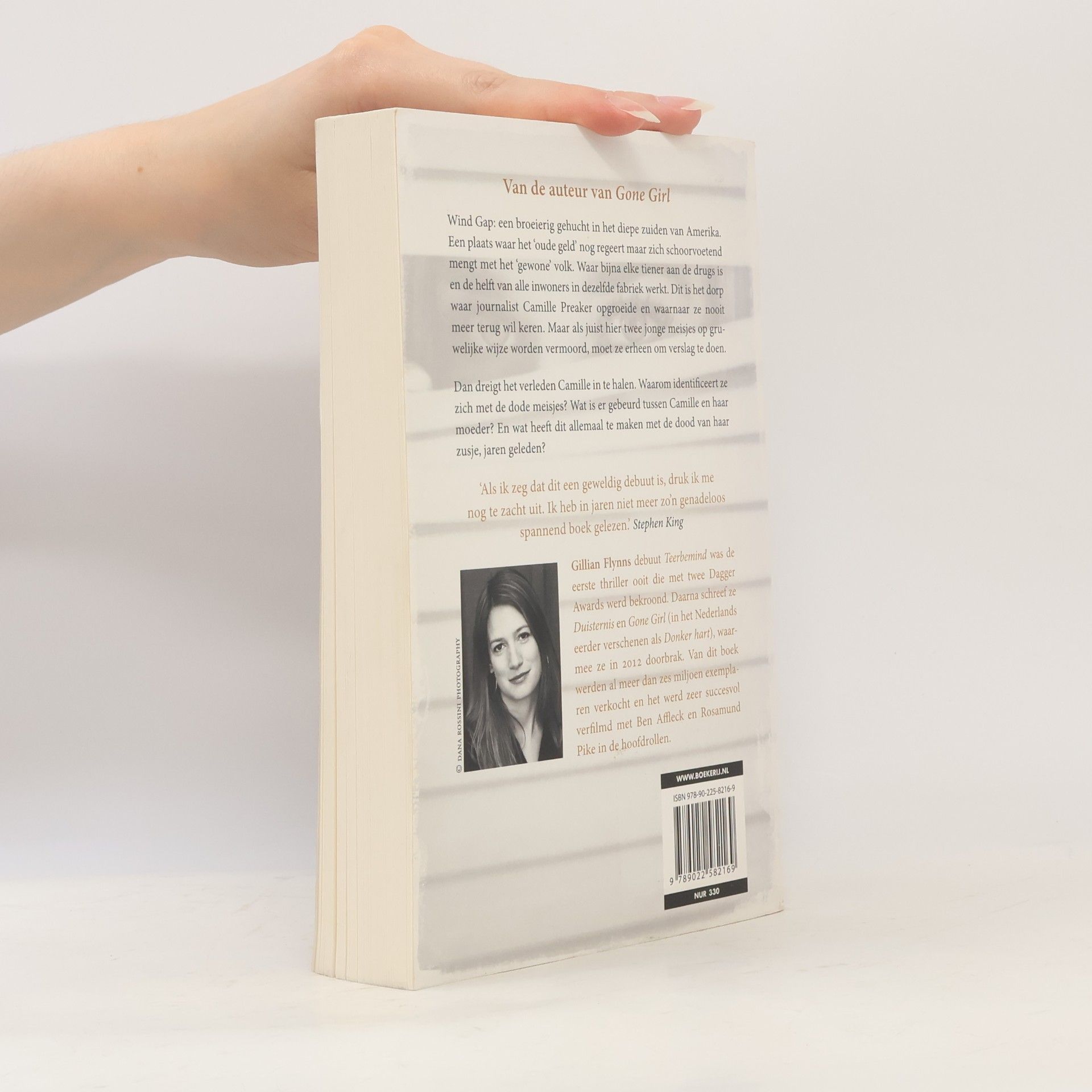Gillian Flynn Teerbemind