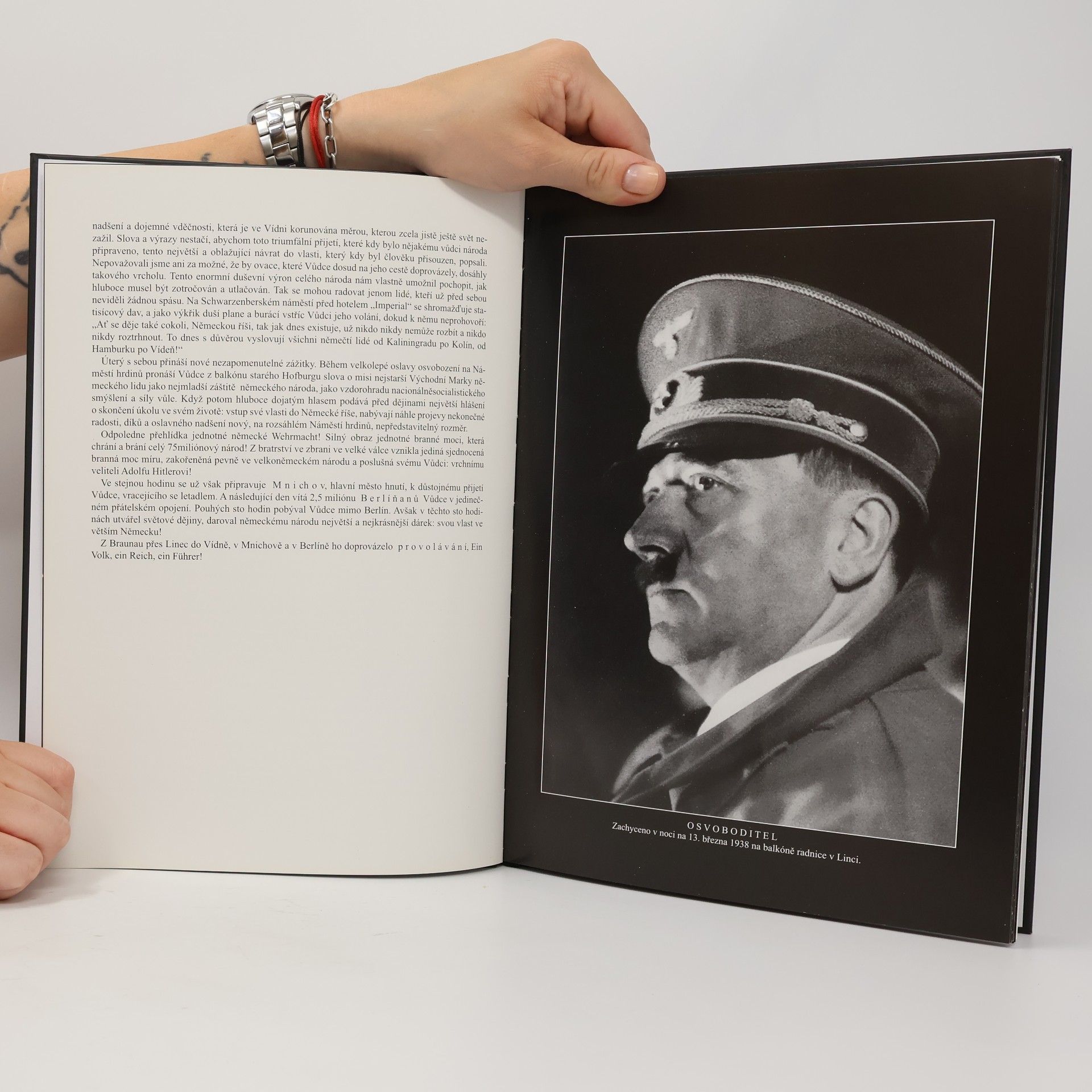 Heinrich Hoffmann Hitler ve své vlasti