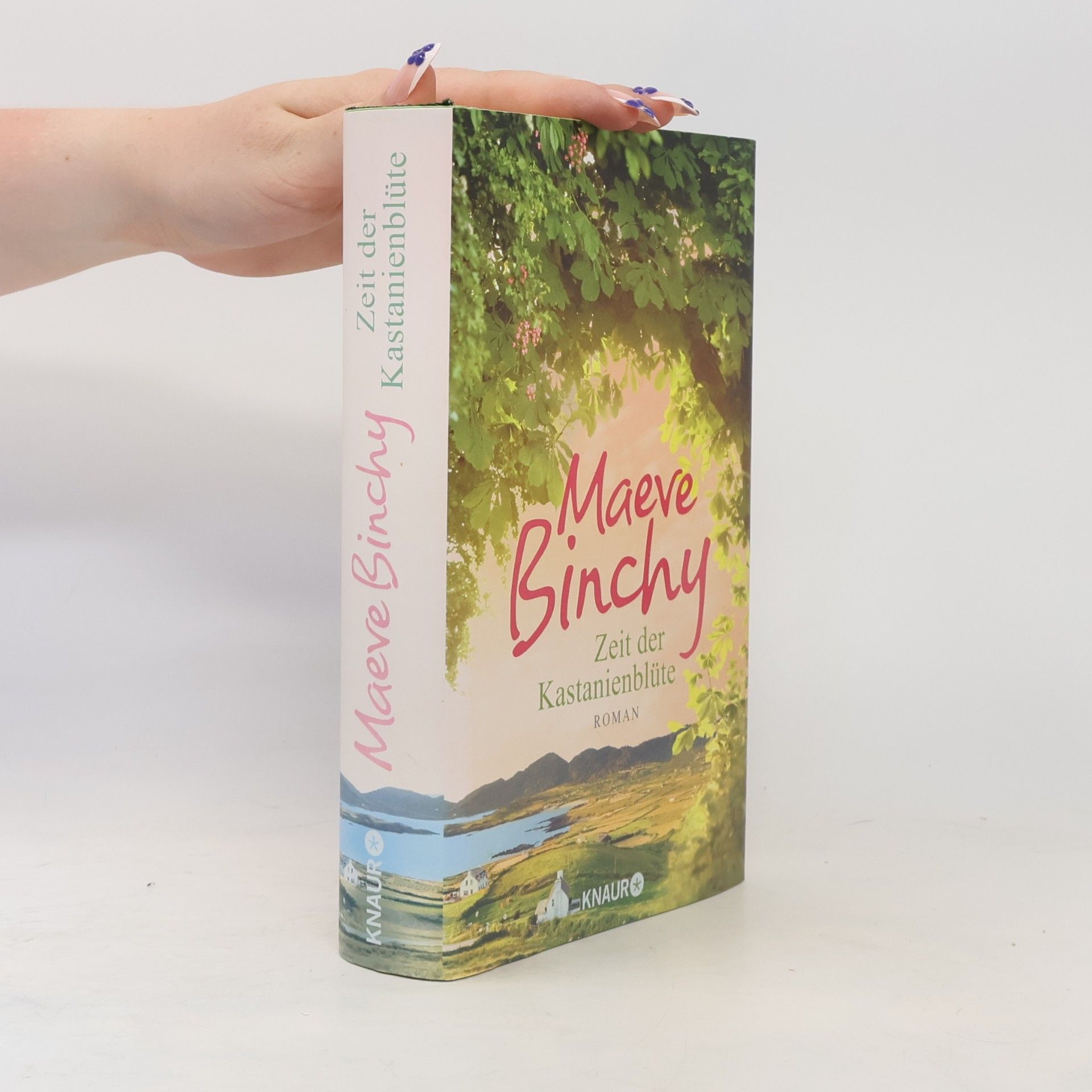 Maeve Binchy Zeit der Kastanienblüte
