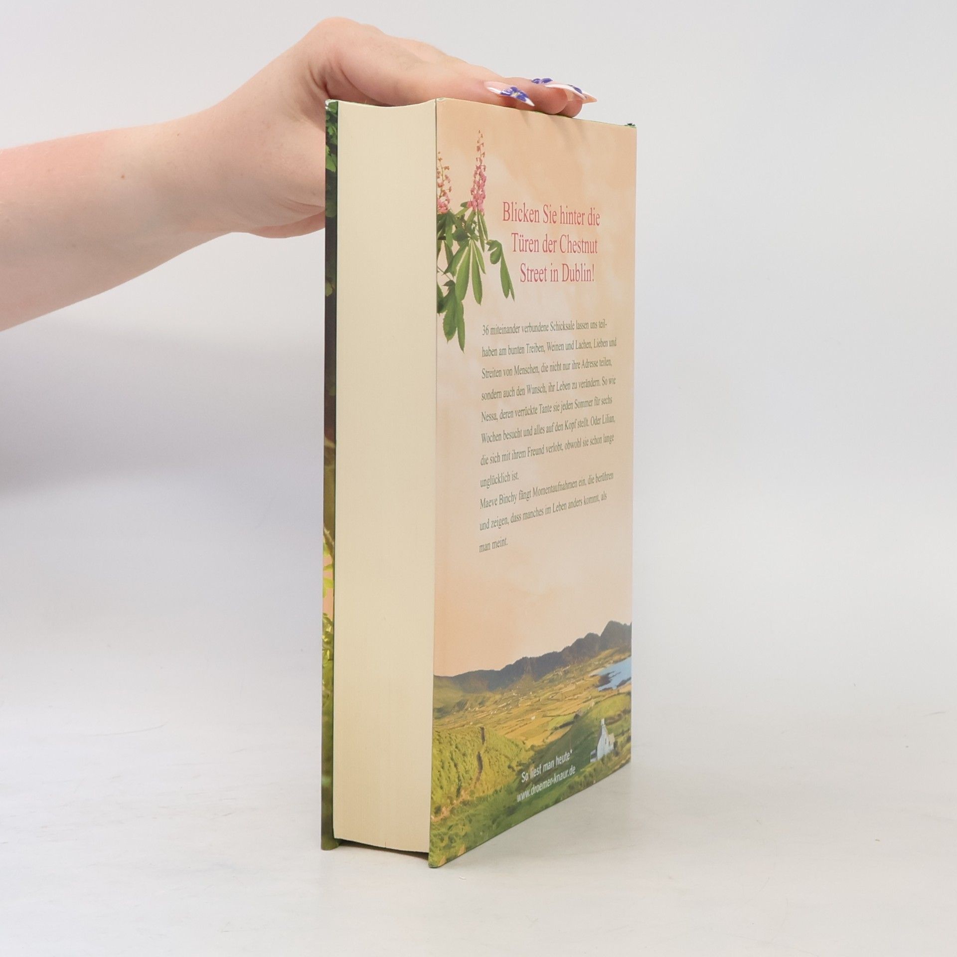 Maeve Binchy Zeit der Kastanienblüte