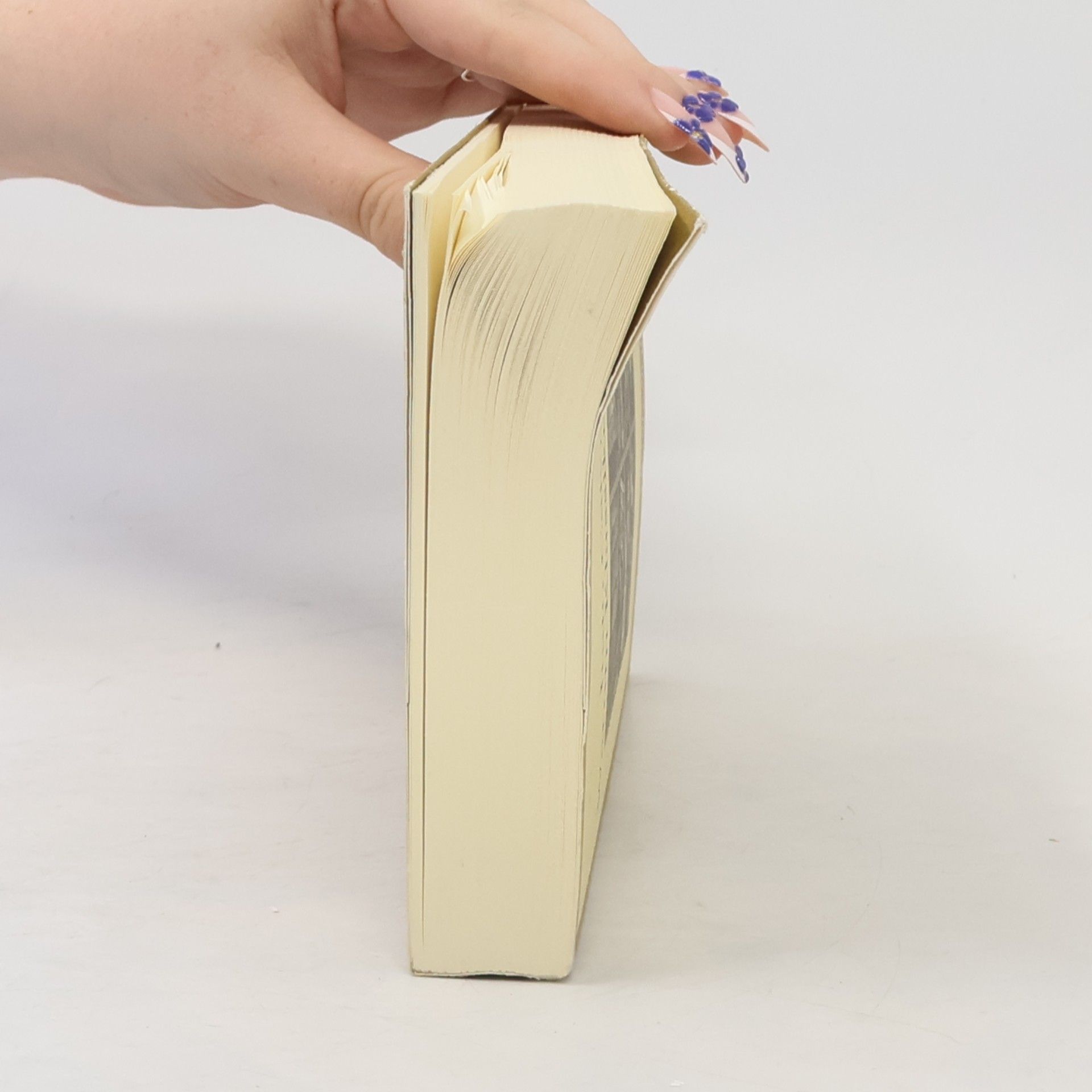 Italo Calvino Warum Klassiker lesen?