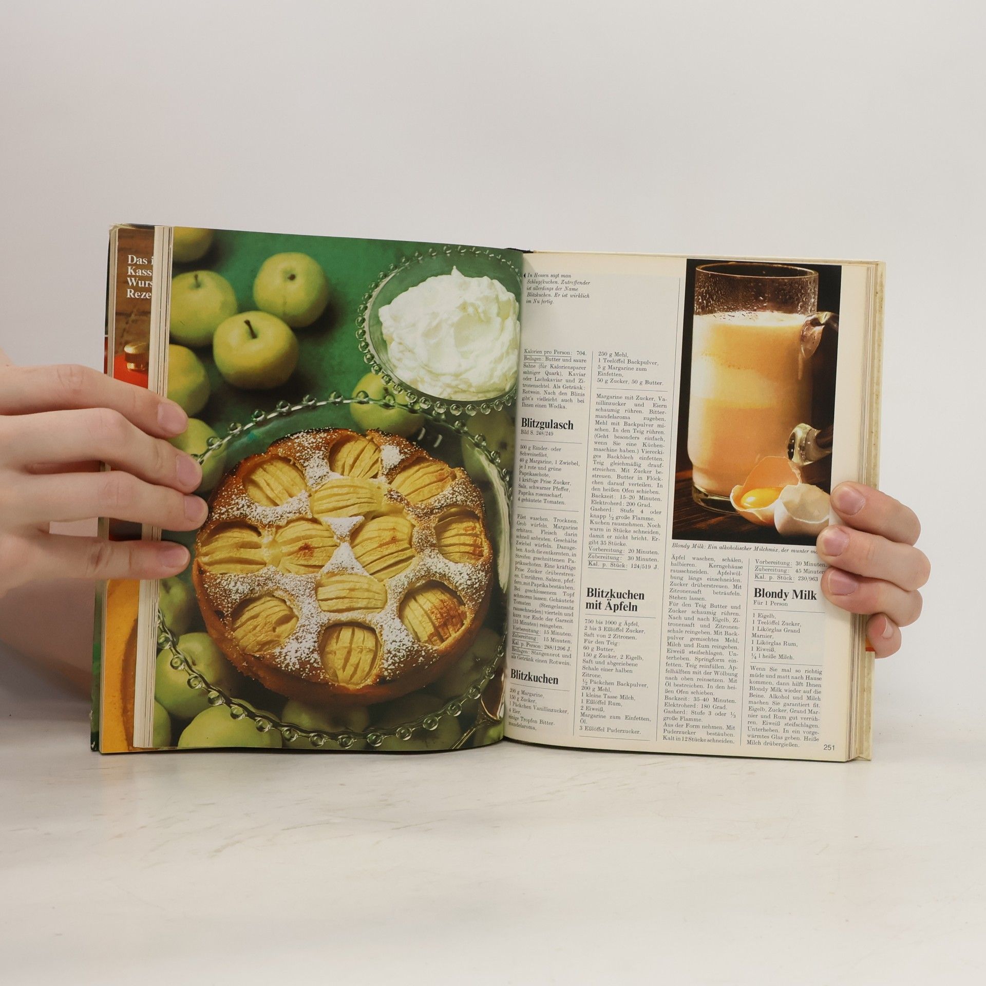 Autorenkollektiv Menu. Das groβe moderne Kochlexikon 1